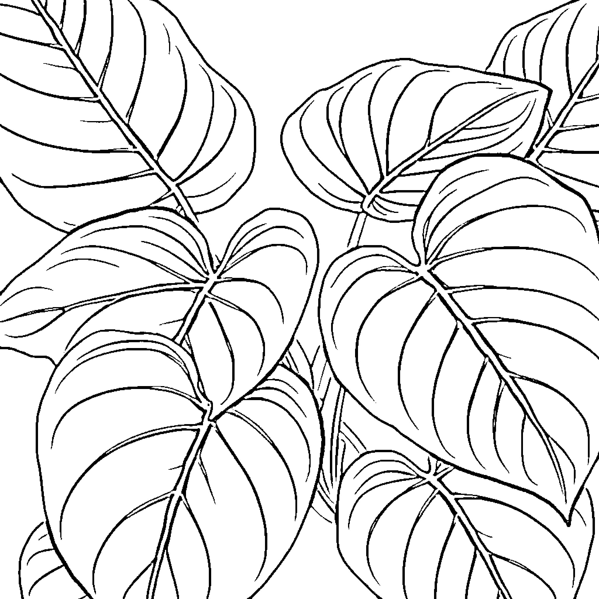 Philodendron plant leaves and foliage Coloring Page (free black-and-white line drawing printable PDF for all, from beginners to advanced learners, including children, teens, adults, and seniors)