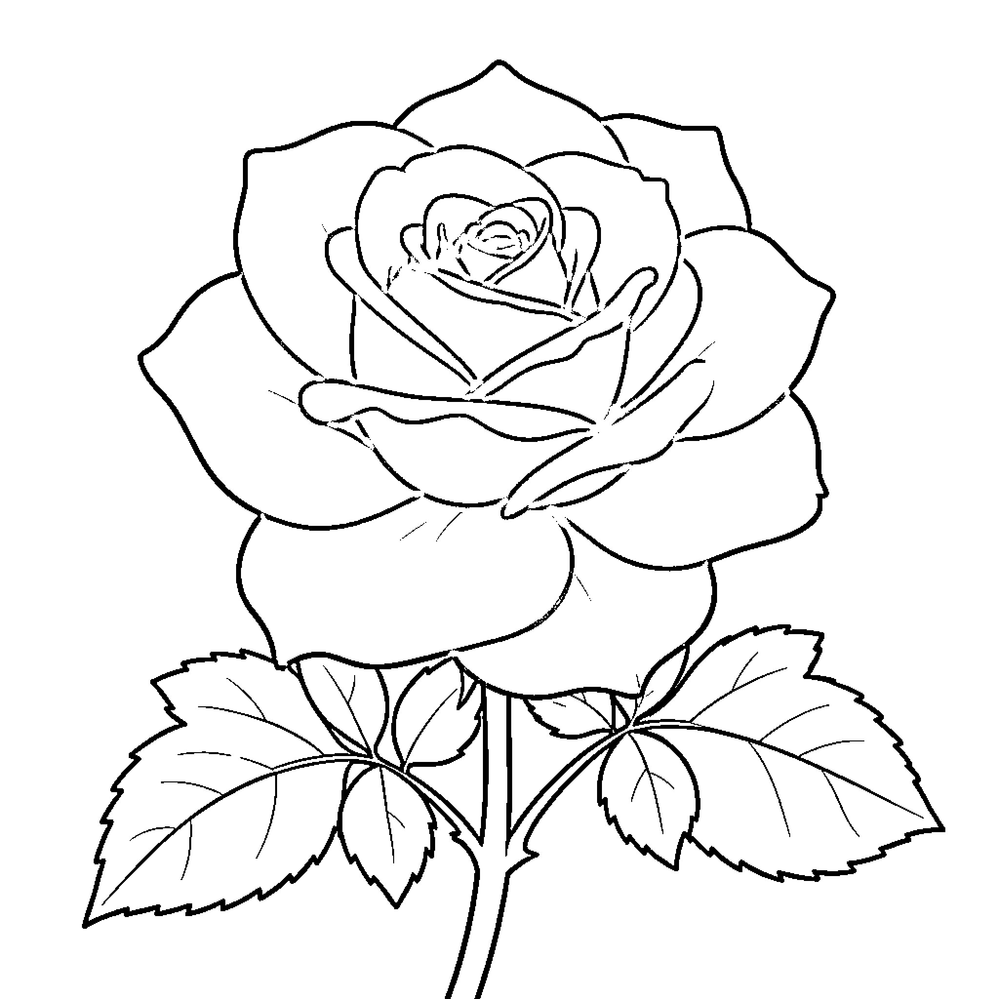Rose in bloom with detailed petals Coloring Page (free black-and-white line drawing printable PDF for all, from beginners to advanced learners, including children, teens, adults, and seniors)