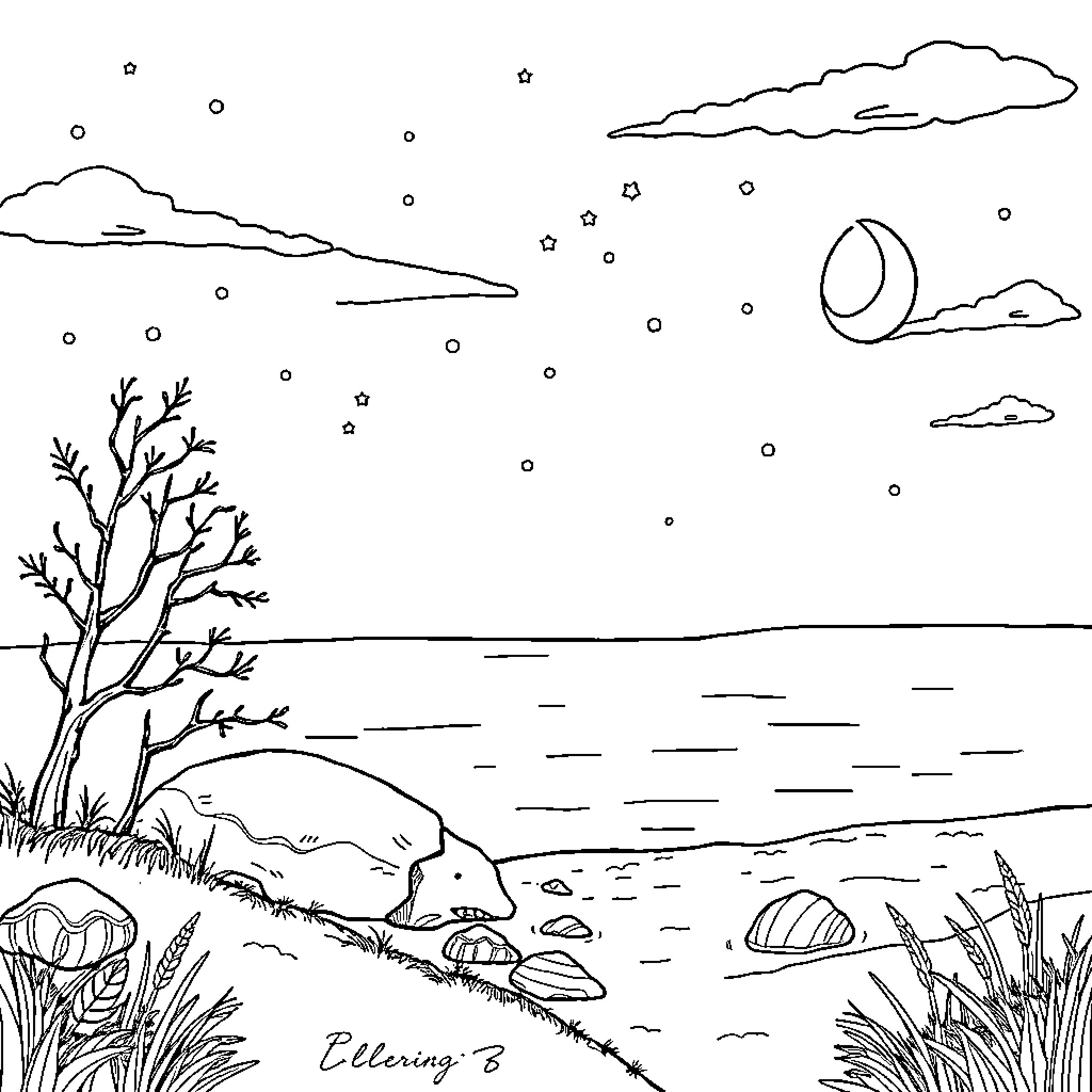 Sleep under the starry night sky Coloring Page (free black-and-white line drawing printable PDF for all, from beginners to advanced learners, including children, teens, adults, and seniors)