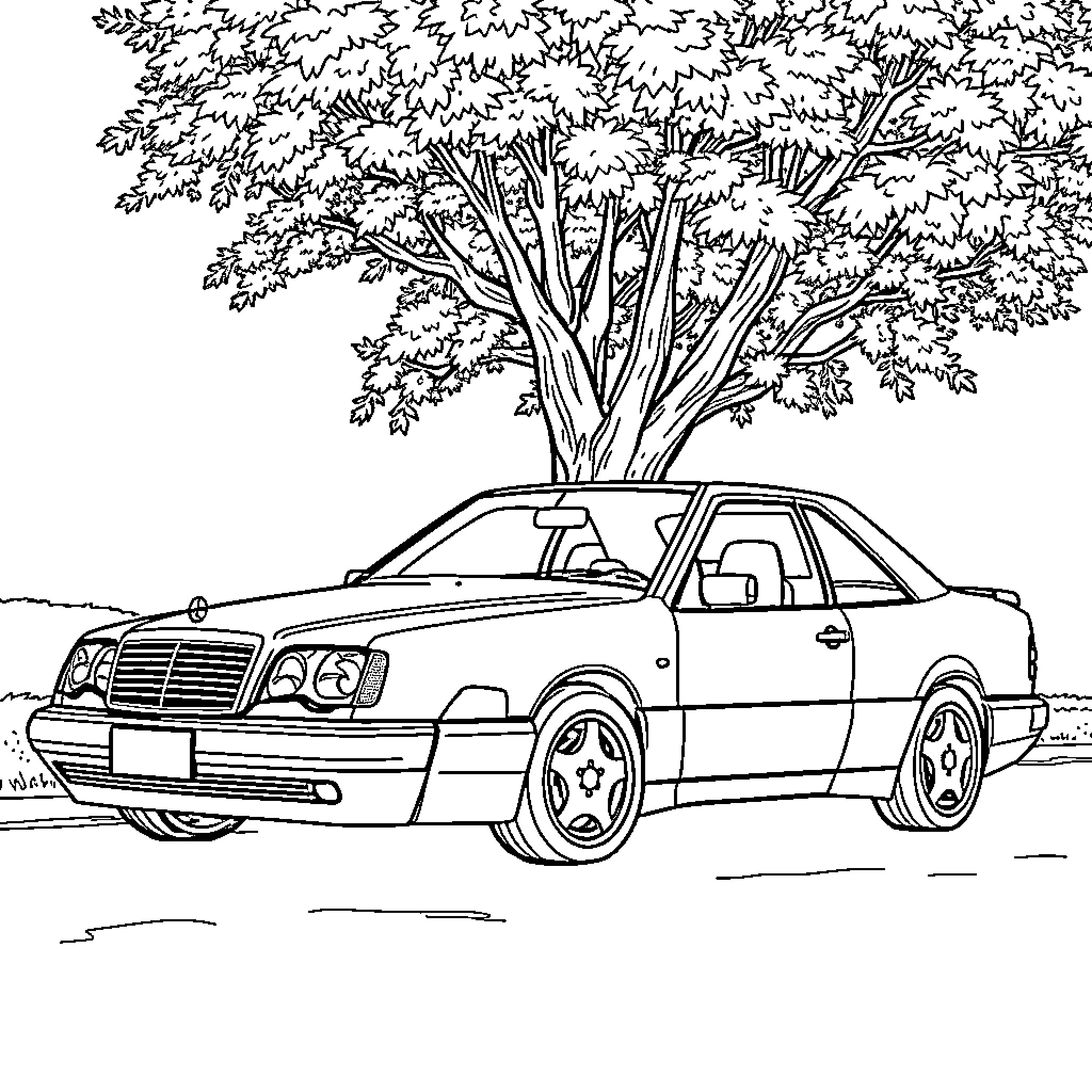Mercedes sports car under a tree Coloring Page (free black-and-white line drawing printable PDF for all, from beginners to advanced learners, including children, teens, adults, and seniors)