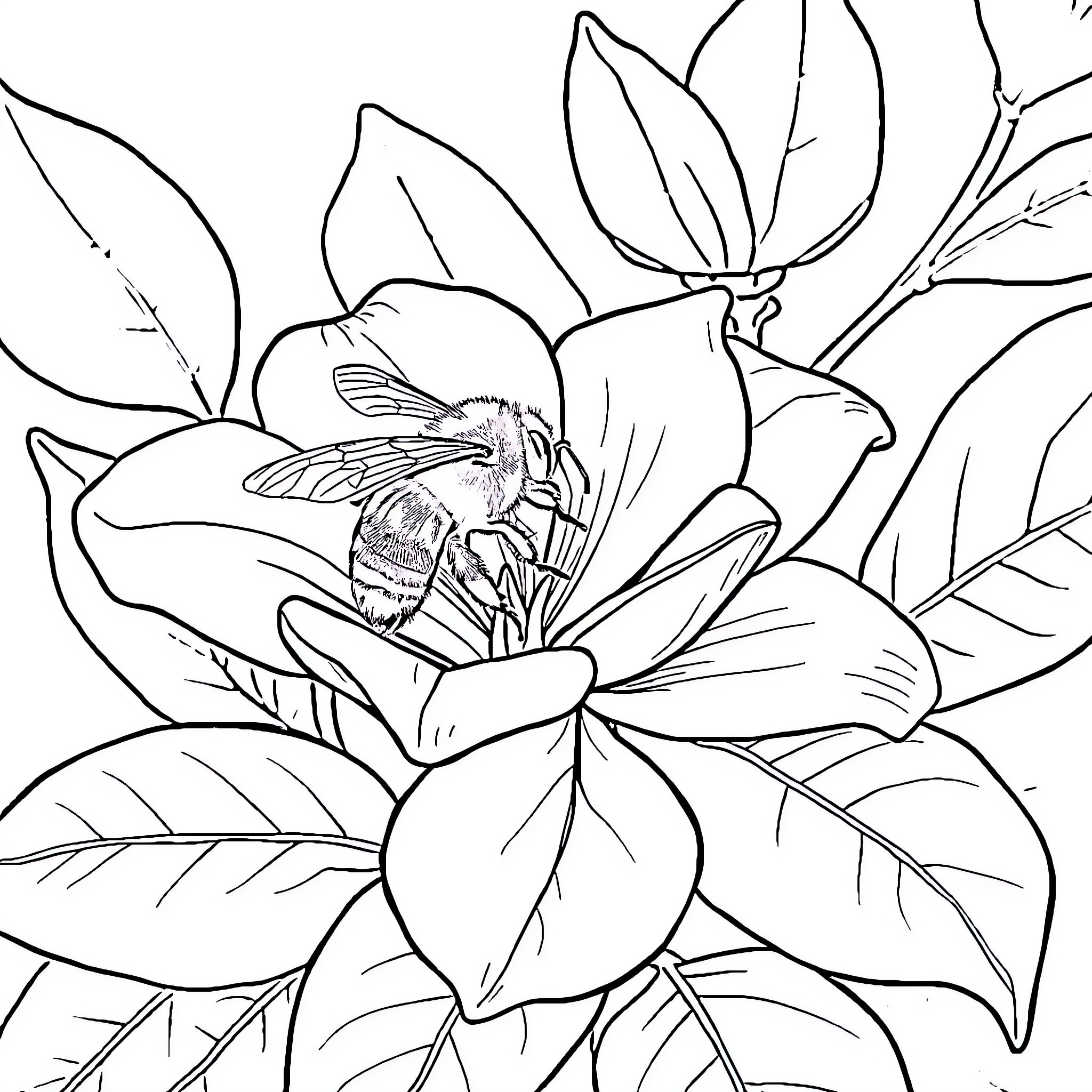 Bumble Bee exploring a floral scene Coloring Page (free black-and-white line drawing printable PDF for all, from beginners to advanced learners, including children, teens, adults, and seniors)
