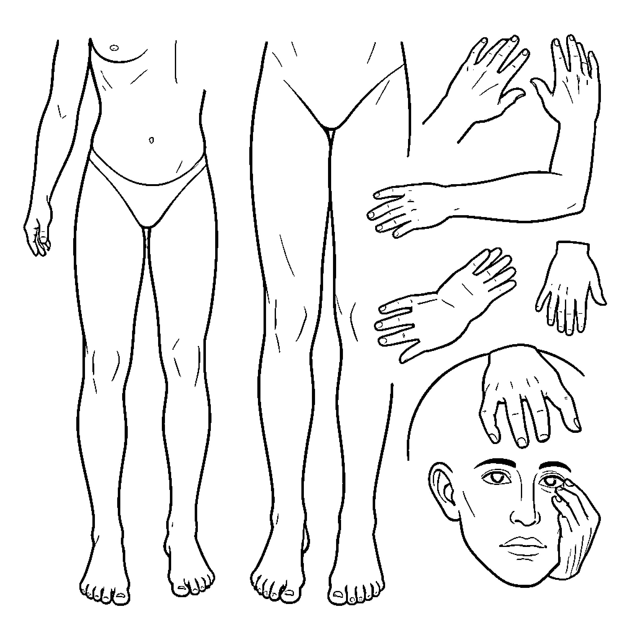 Body Parts showing various limbs and facial features Coloring Page (free black-and-white line drawing printable PDF for all, from beginners to advanced learners, including children, teens, adults, and seniors)