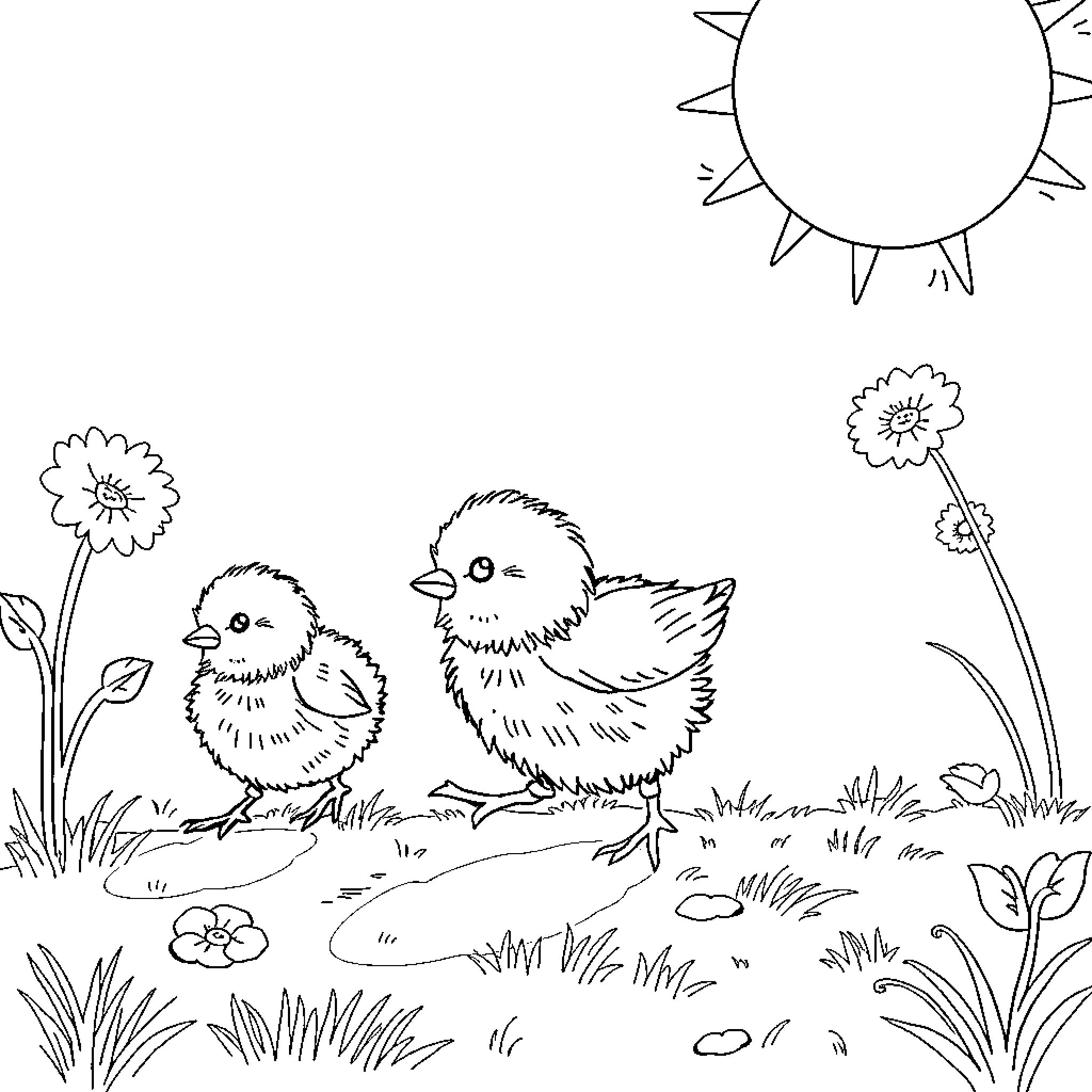 Chicks playing happily in the meadow Coloring Page (free black-and-white line drawing printable PDF for all, from beginners to advanced learners, including children, teens, adults, and seniors)