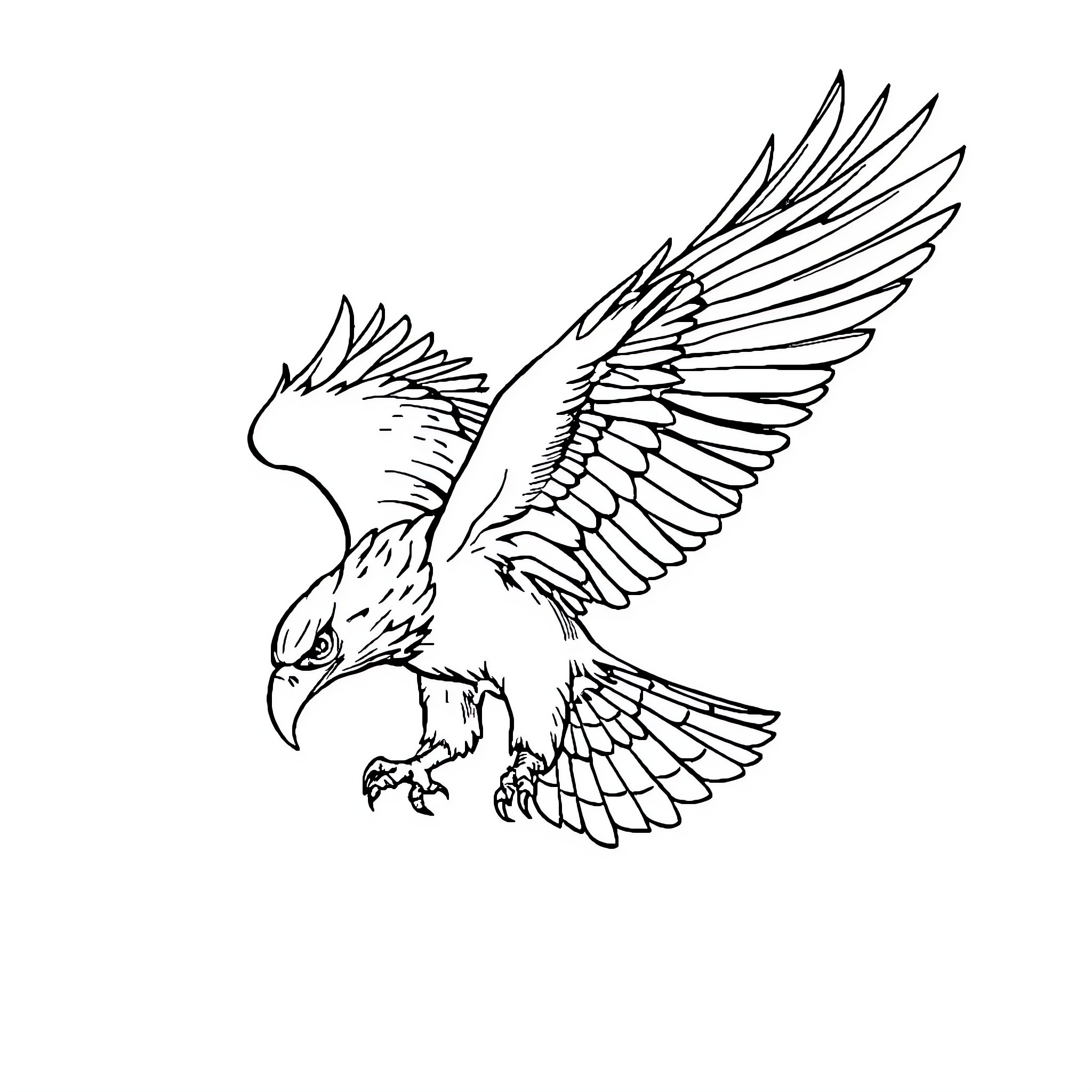 Jayhawk soaring with outstretched wings Coloring Page (free black-and-white line drawing printable PDF for all, from beginners to advanced learners, including children, teens, adults, and seniors)