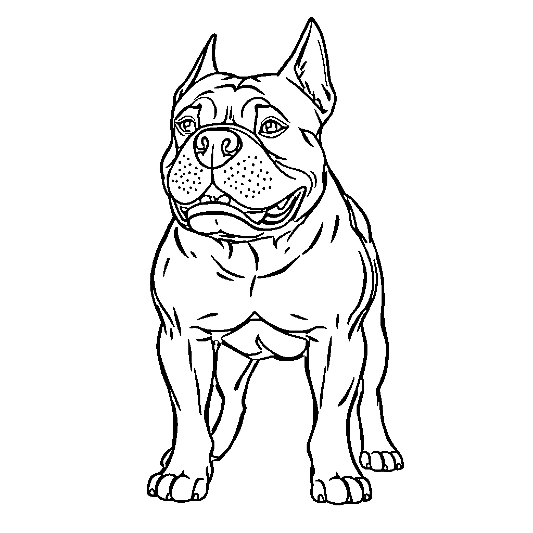 Bully dog with alert expression Coloring Page (free black-and-white line drawing printable PDF for all, from beginners to advanced learners, including children, teens, adults, and seniors)