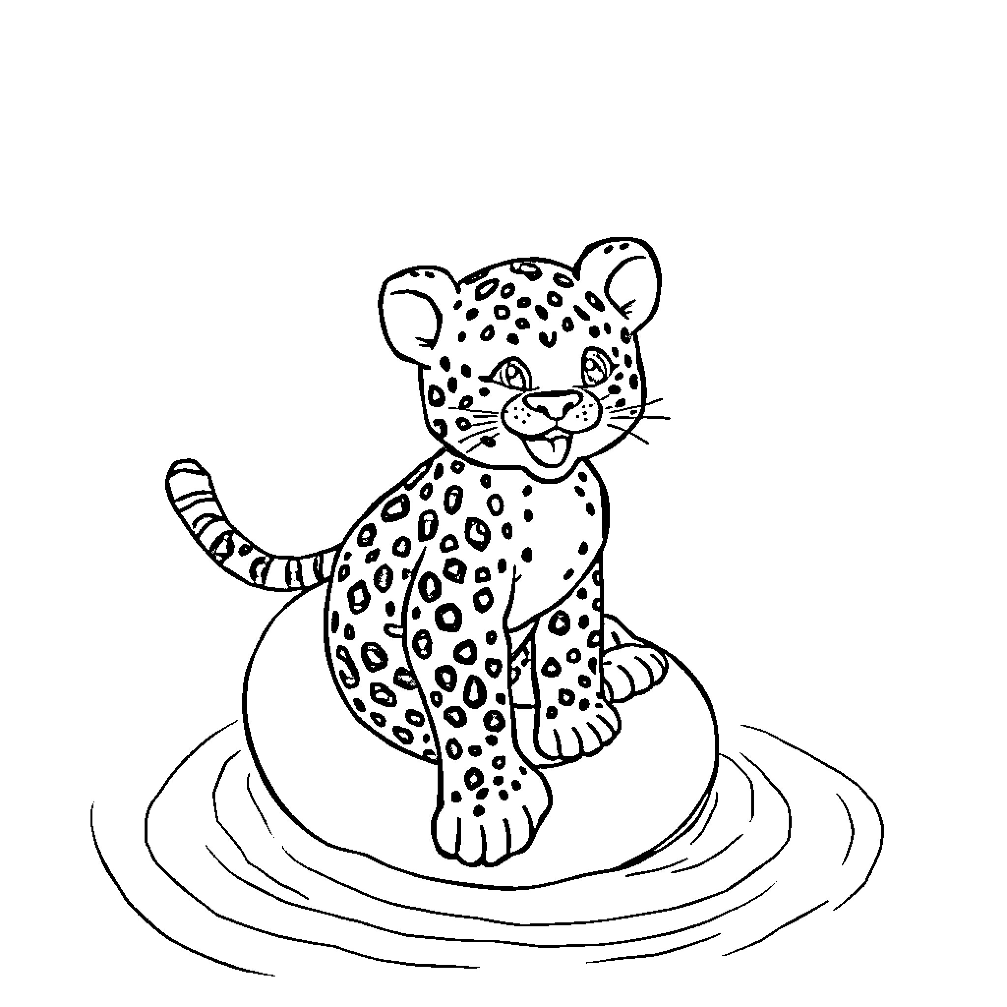 Leopard cub resting on the ground Coloring Page (free black-and-white line drawing printable PDF for all, from beginners to advanced learners, including children, teens, adults, and seniors)