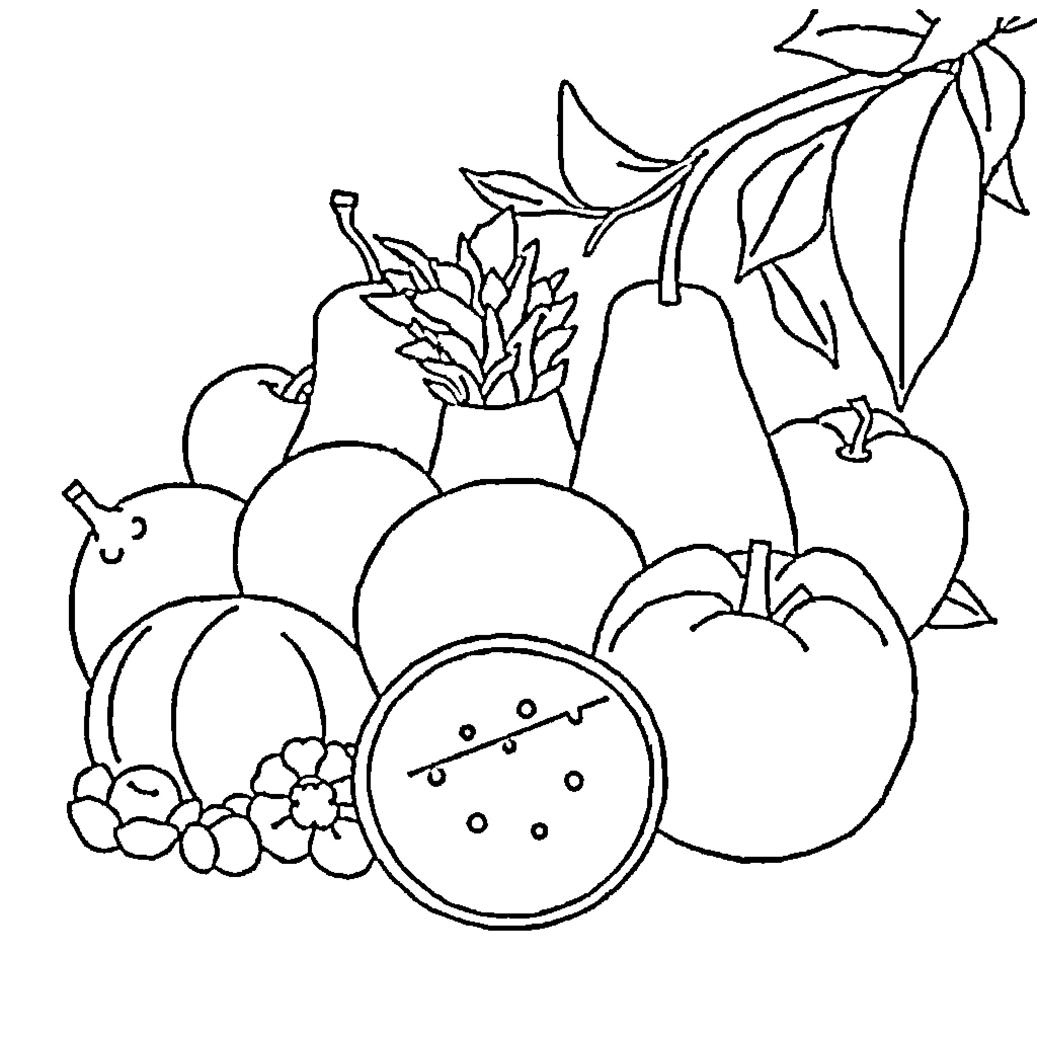 Fruit Basket with Various Produce Coloring Page (free black-and-white line drawing printable PDF for all, from beginners to advanced learners, including children, teens, adults, and seniors)