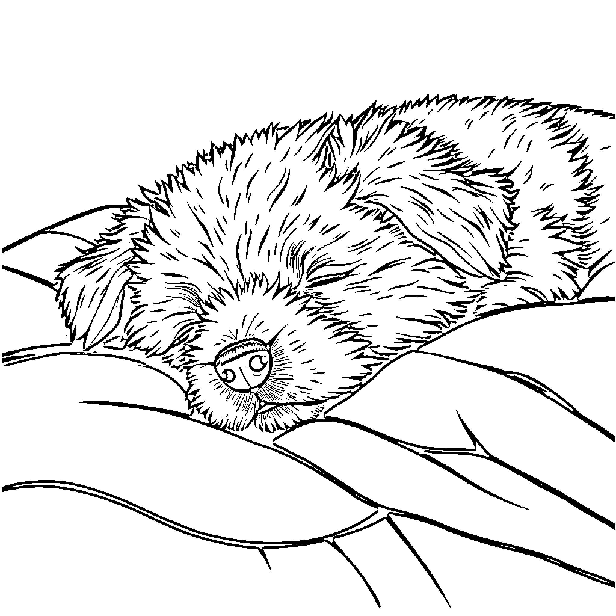 Dog sleeping peacefully in cozy nest Coloring Page (free black-and-white line drawing printable PDF for all, from beginners to advanced learners, including children, teens, adults, and seniors)