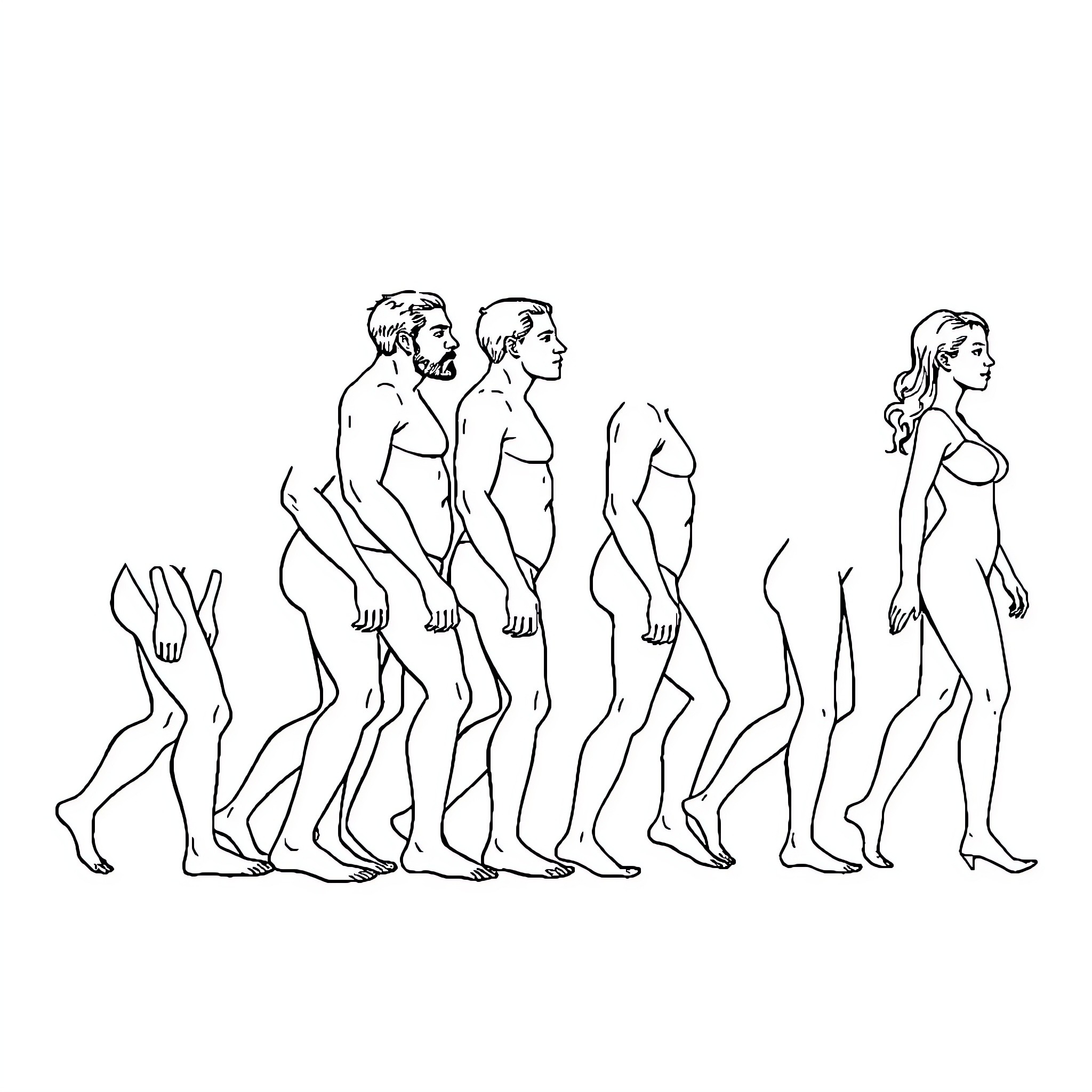 Human Evolution: Progression of the Human Form Coloring Page (free black-and-white line drawing printable PDF for all, from beginners to advanced learners, including children, teens, adults, and seniors)