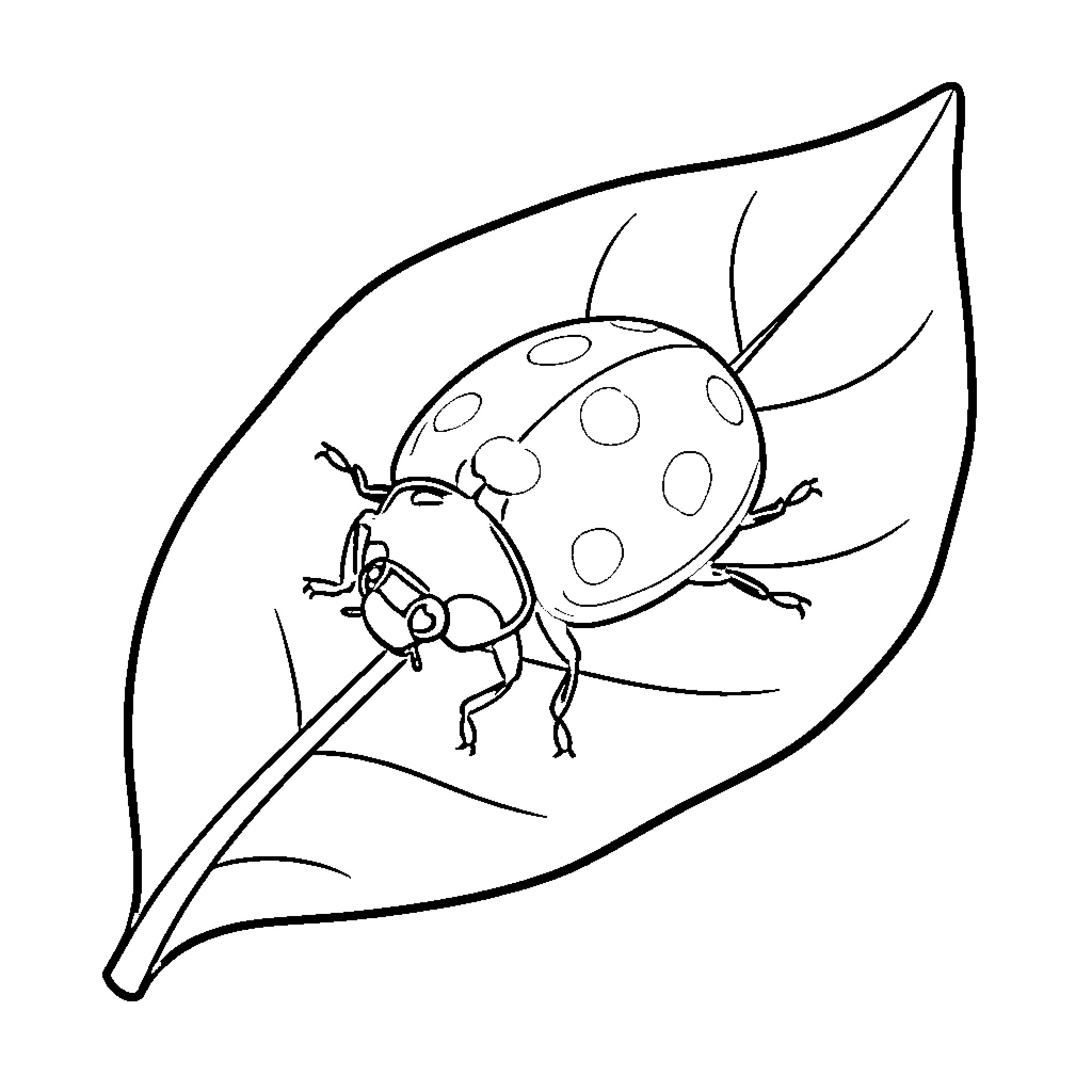 Ladybug resting on a leaf Coloring Page (free black-and-white line drawing printable PDF for all, from beginners to advanced learners, including children, teens, adults, and seniors)