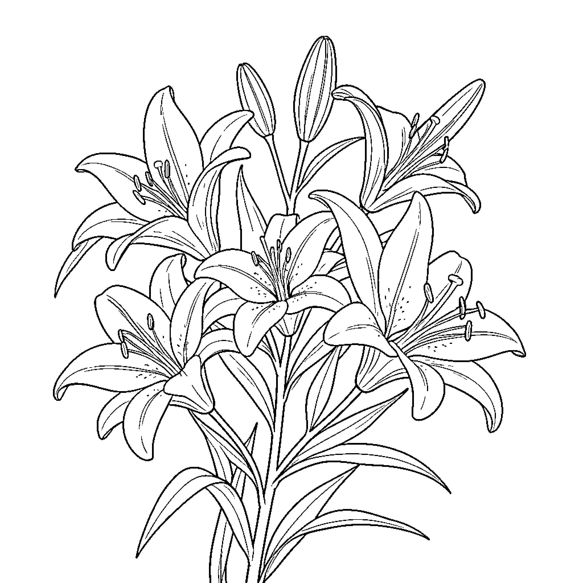 Lilium: Elegant Floral Arrangement Coloring Page (free black-and-white line drawing printable PDF for all, from beginners to advanced learners, including children, teens, adults, and seniors)