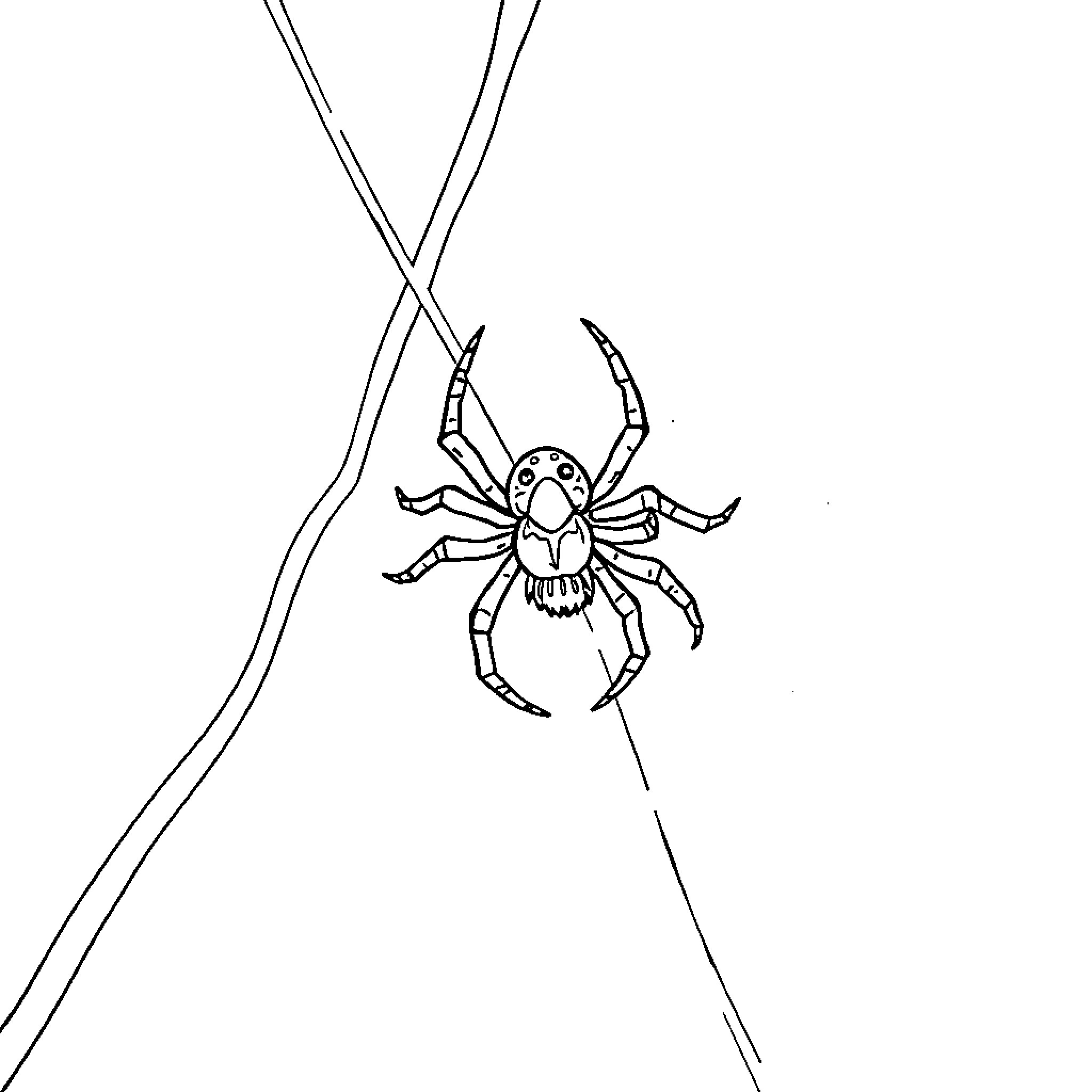 Spider dangling from web with outstretched legs Coloring Page (free black-and-white line drawing printable PDF for all, from beginners to advanced learners, including children, teens, adults, and seniors)