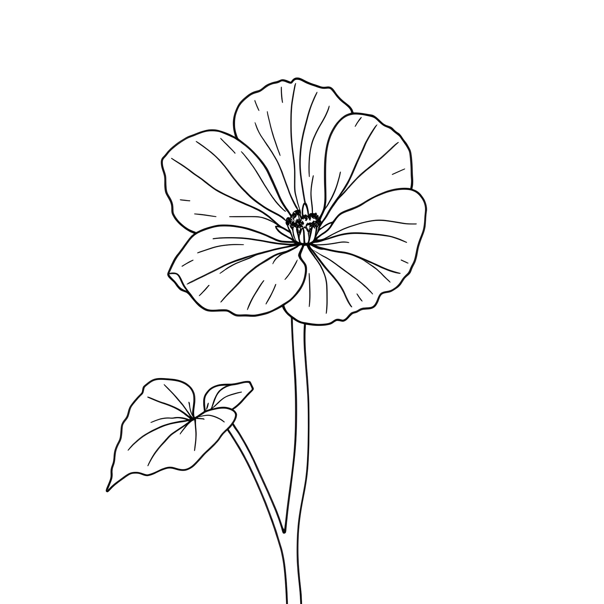 Nasturtium flower in black and white sketch Coloring Page (free black-and-white line drawing printable PDF for all, from beginners to advanced learners, including children, teens, adults, and seniors)