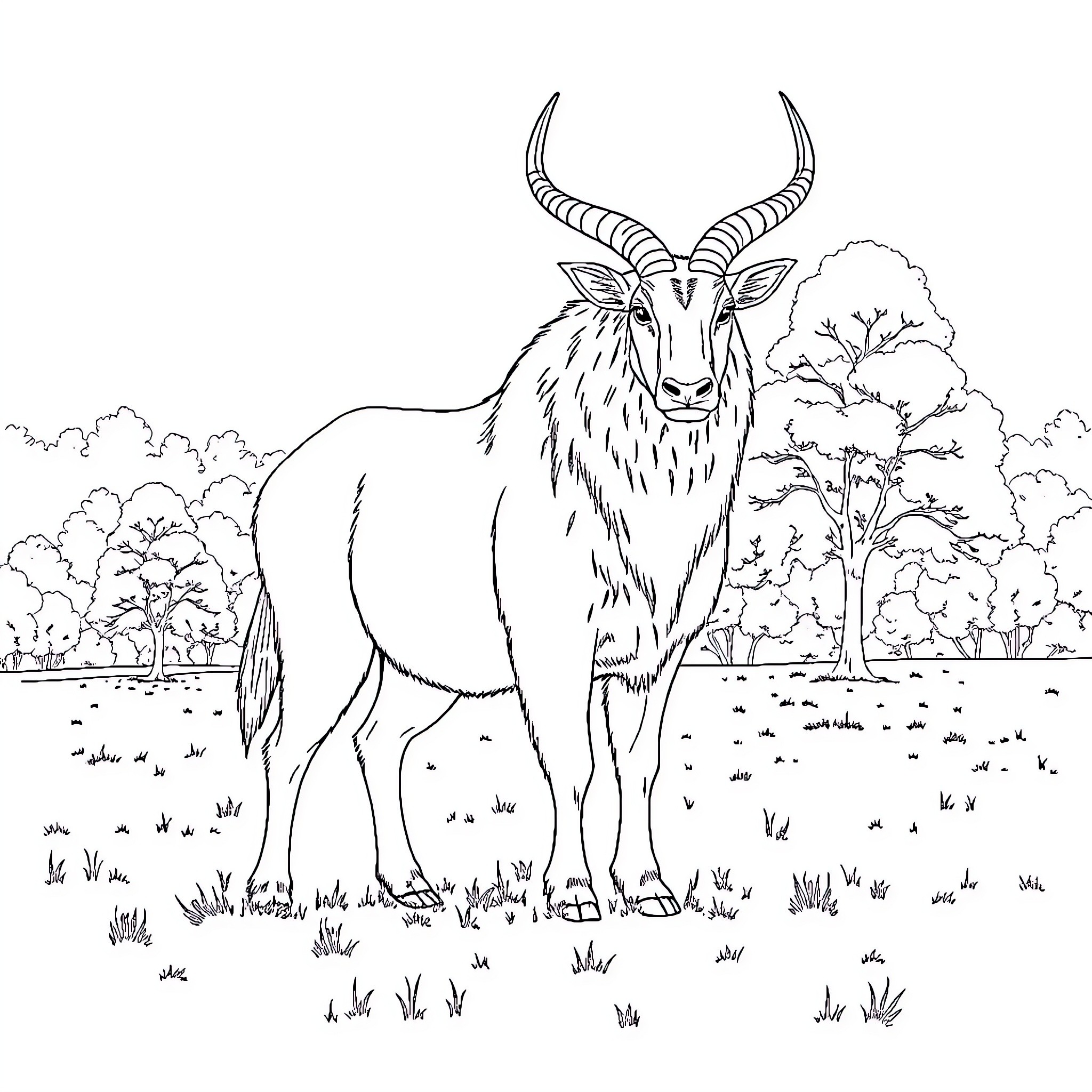 Takin standing proudly in natural landscape Coloring Page (free black-and-white line drawing printable PDF for all, from beginners to advanced learners, including children, teens, adults, and seniors)