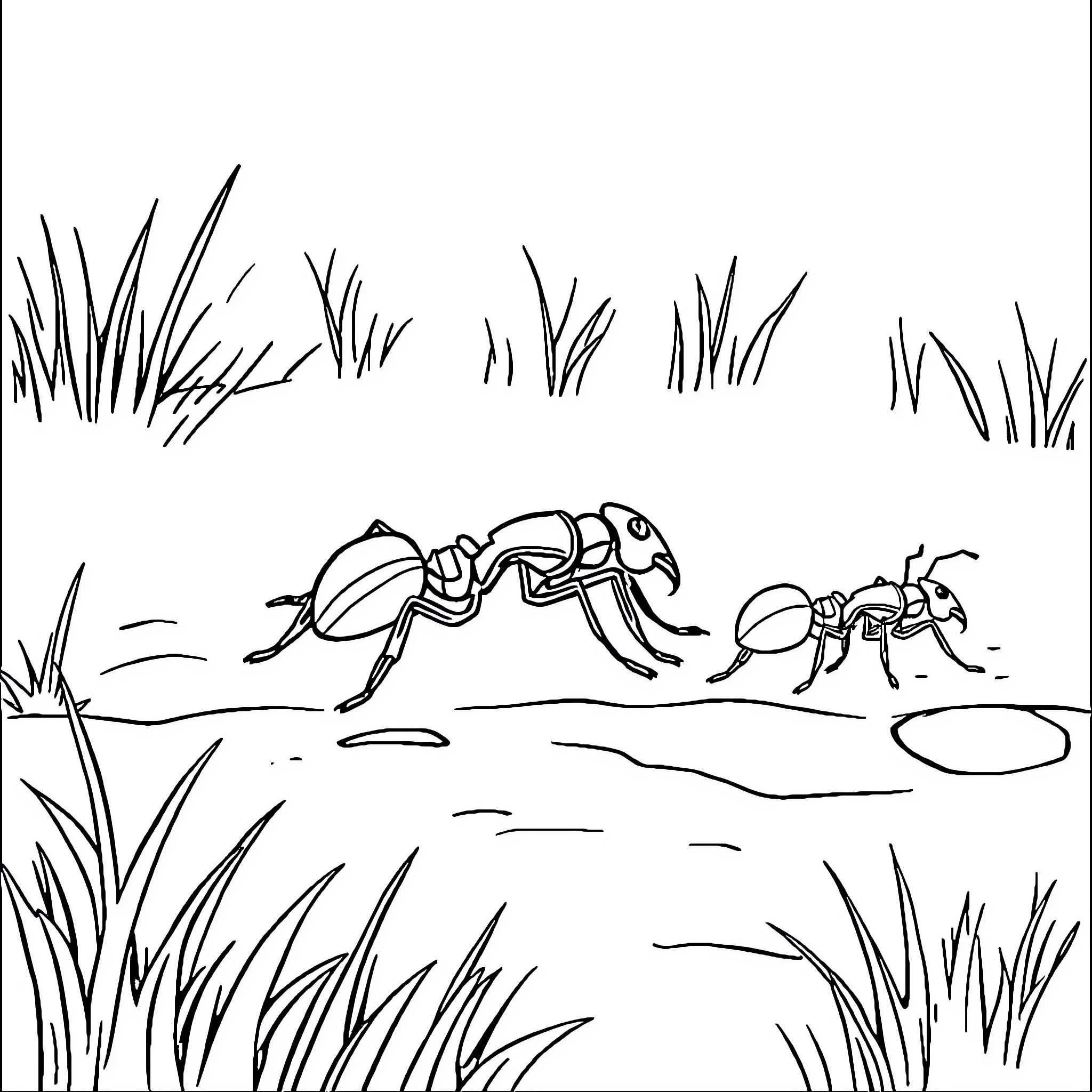Ant exploring the grassland habitat Coloring Page (free black-and-white line drawing printable PDF for all, from beginners to advanced learners, including children, teens, adults, and seniors)