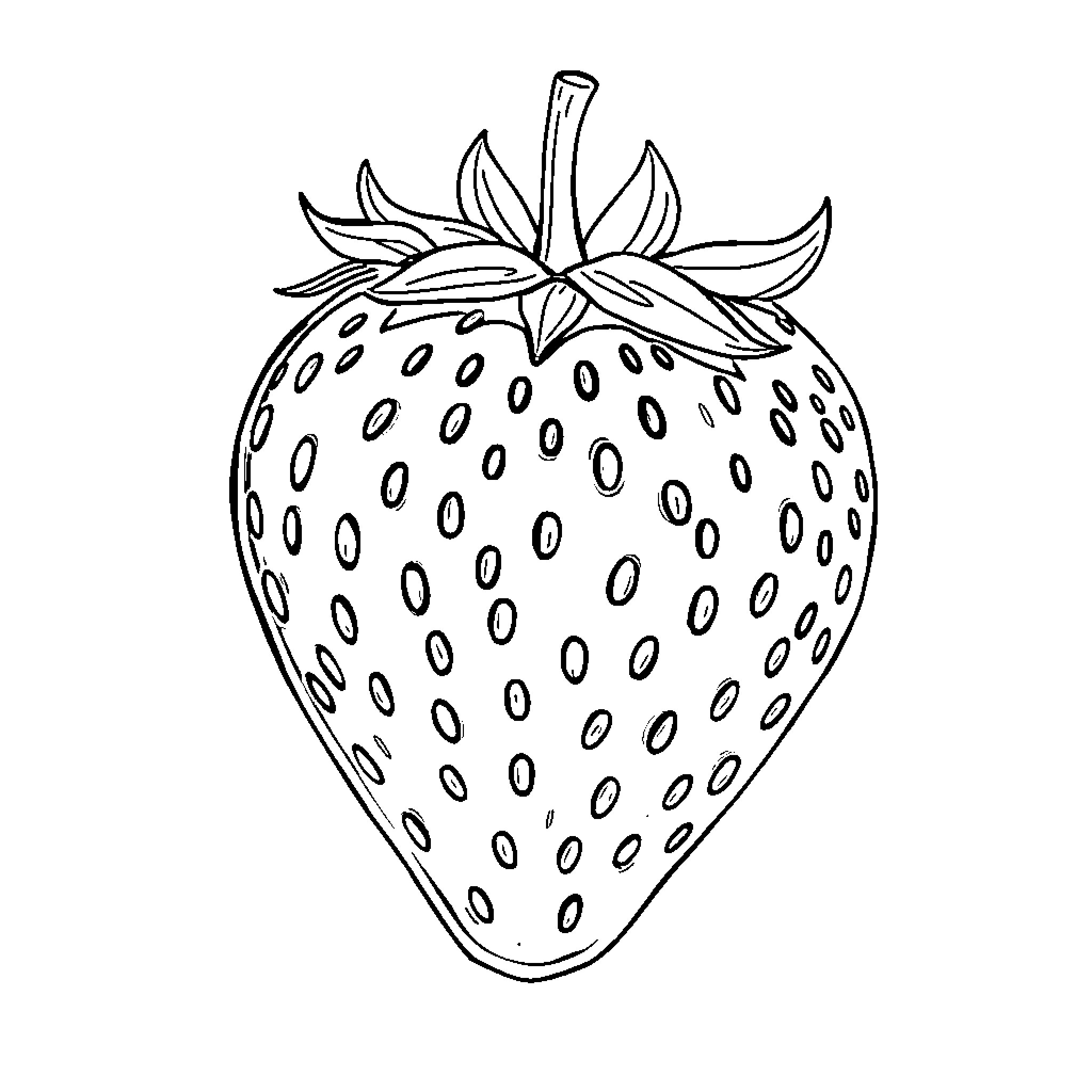 Strawberry outlined in black and white Coloring Page (free black-and-white line drawing printable PDF for all, from beginners to advanced learners, including children, teens, adults, and seniors)