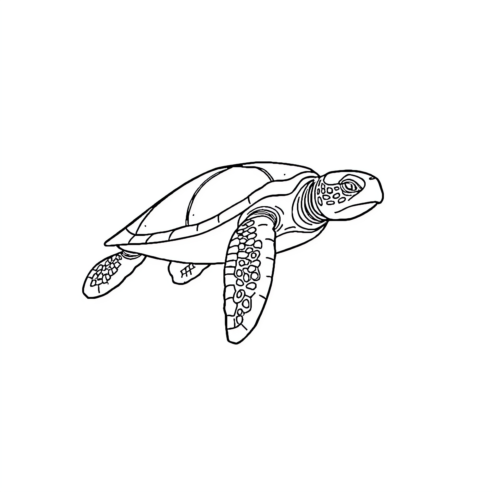 Sea Turtle swimming gracefully Coloring Page (free black-and-white line drawing printable PDF for all, from beginners to advanced learners, including children, teens, adults, and seniors)