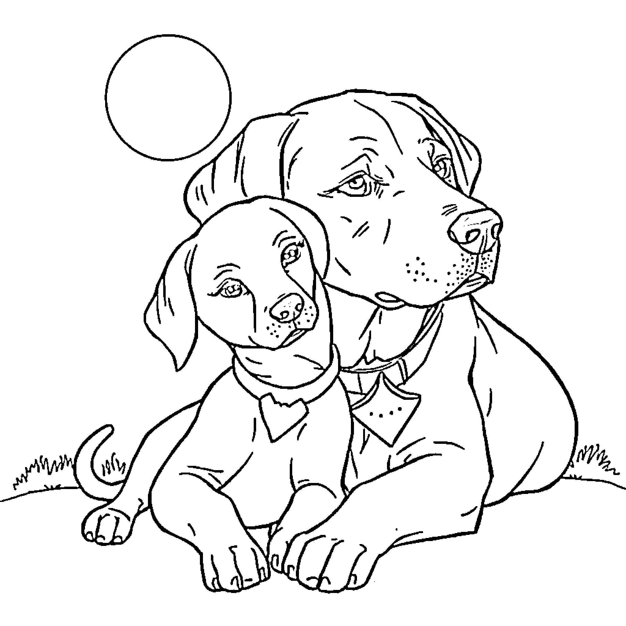 Labrador puppies playing together Coloring Page (free black-and-white line drawing printable PDF for all, from beginners to advanced learners, including children, teens, adults, and seniors)