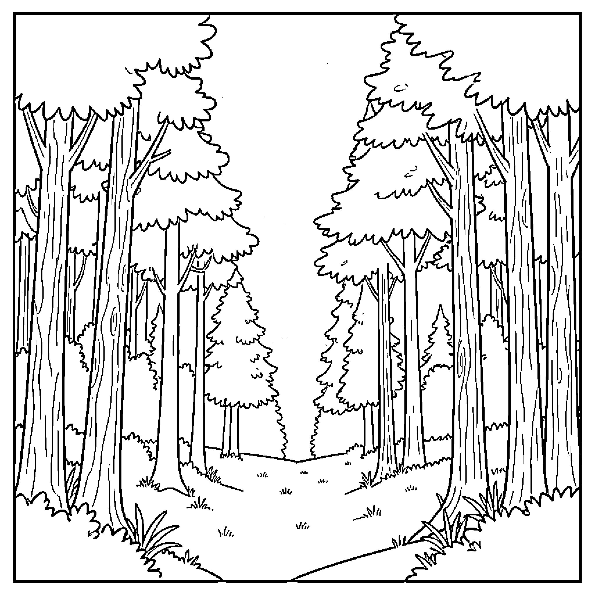Forest path winding through tall trees Coloring Page (free black-and-white line drawing printable PDF for all, from beginners to advanced learners, including children, teens, adults, and seniors)