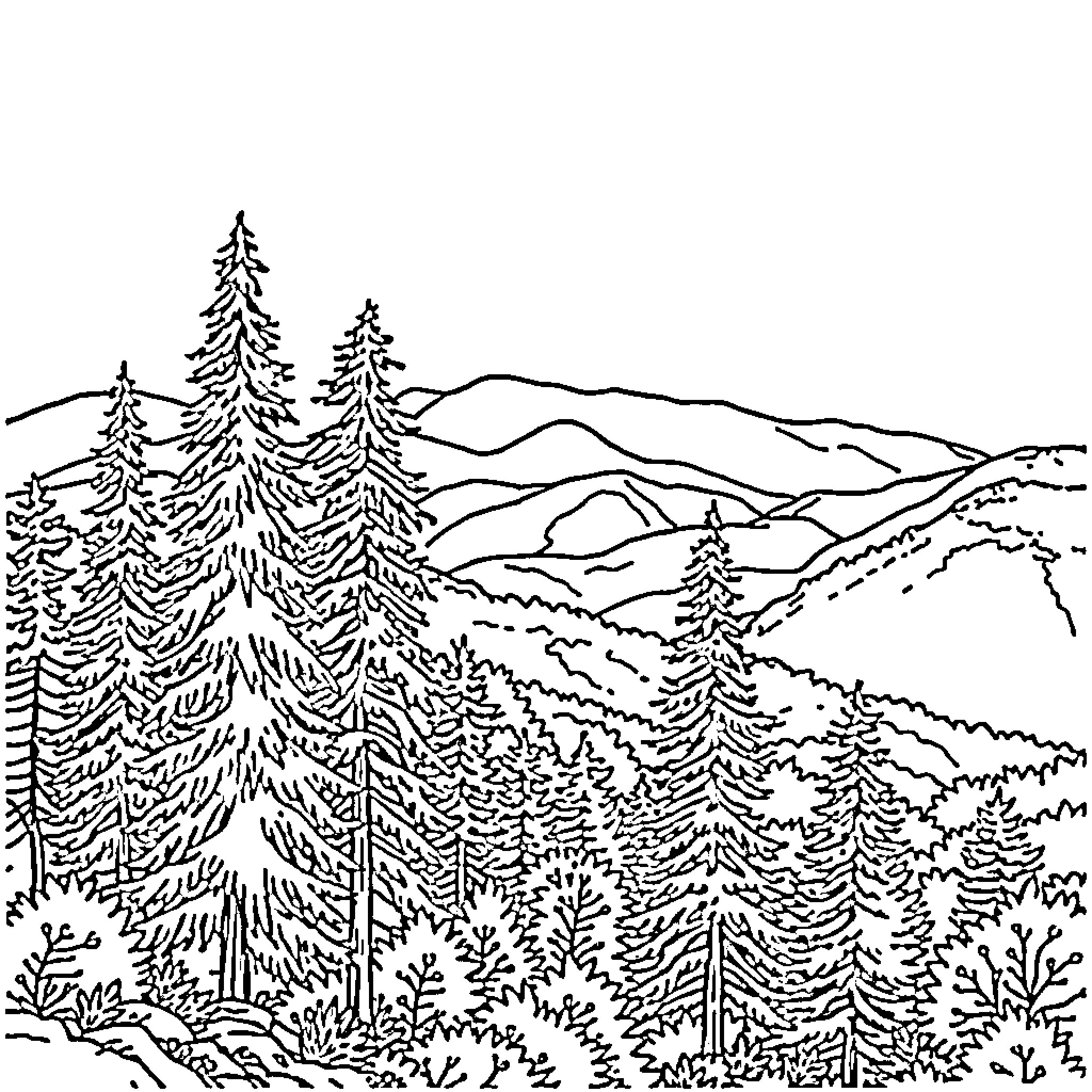 Shenandoah National Park scenic view of mountain forests Coloring Page (free black-and-white line drawing printable PDF for all, from beginners to advanced learners, including children, teens, adults, and seniors)