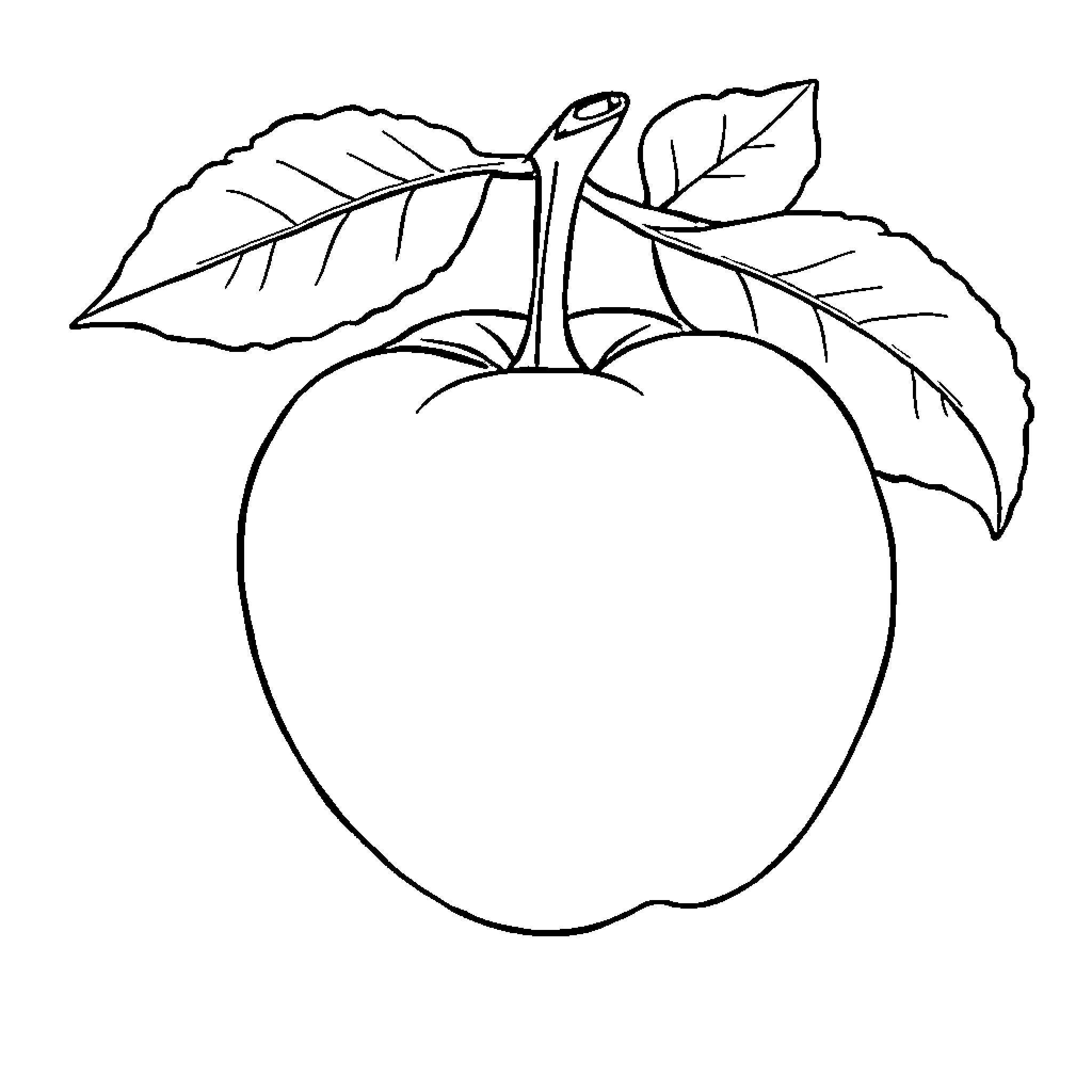Apple with detailed leaves and stem Coloring Page (free black-and-white line drawing printable PDF for all, from beginners to advanced learners, including children, teens, adults, and seniors)