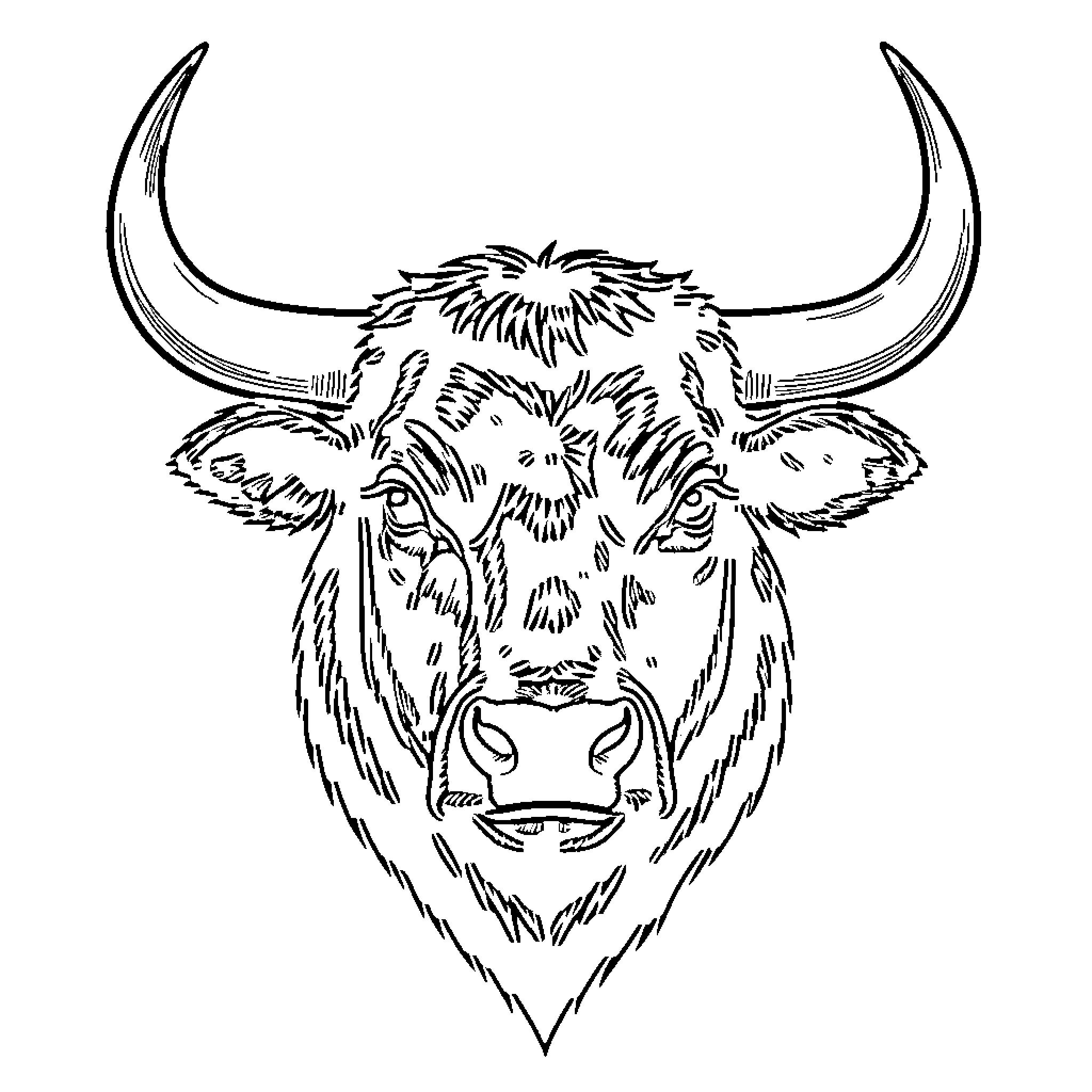 Bull with Fierce Expression and Large Horns Coloring Page (free black-and-white line drawing printable PDF for all, from beginners to advanced learners, including children, teens, adults, and seniors)