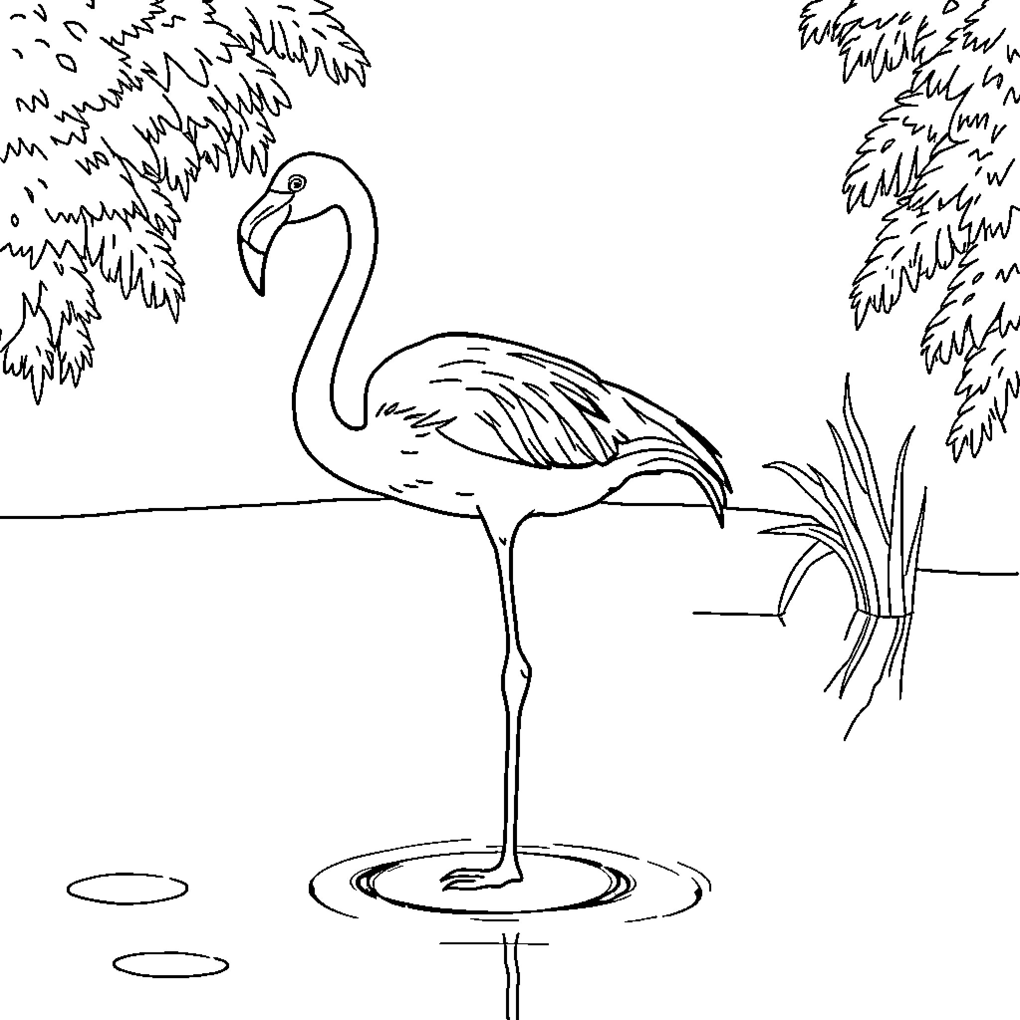 Flamingo standing in tranquil water Coloring Page (free black-and-white line drawing printable PDF for all, from beginners to advanced learners, including children, teens, adults, and seniors)