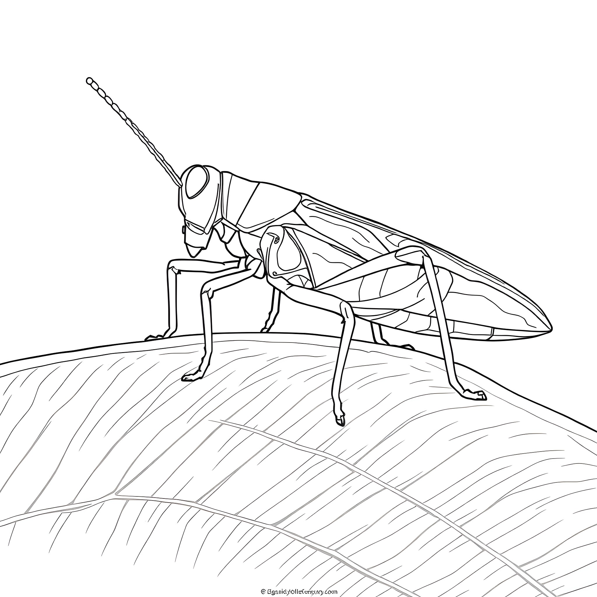 Grasshopper resting on grass blades Coloring Page (free black-and-white line drawing printable PDF for all, from beginners to advanced learners, including children, teens, adults, and seniors)