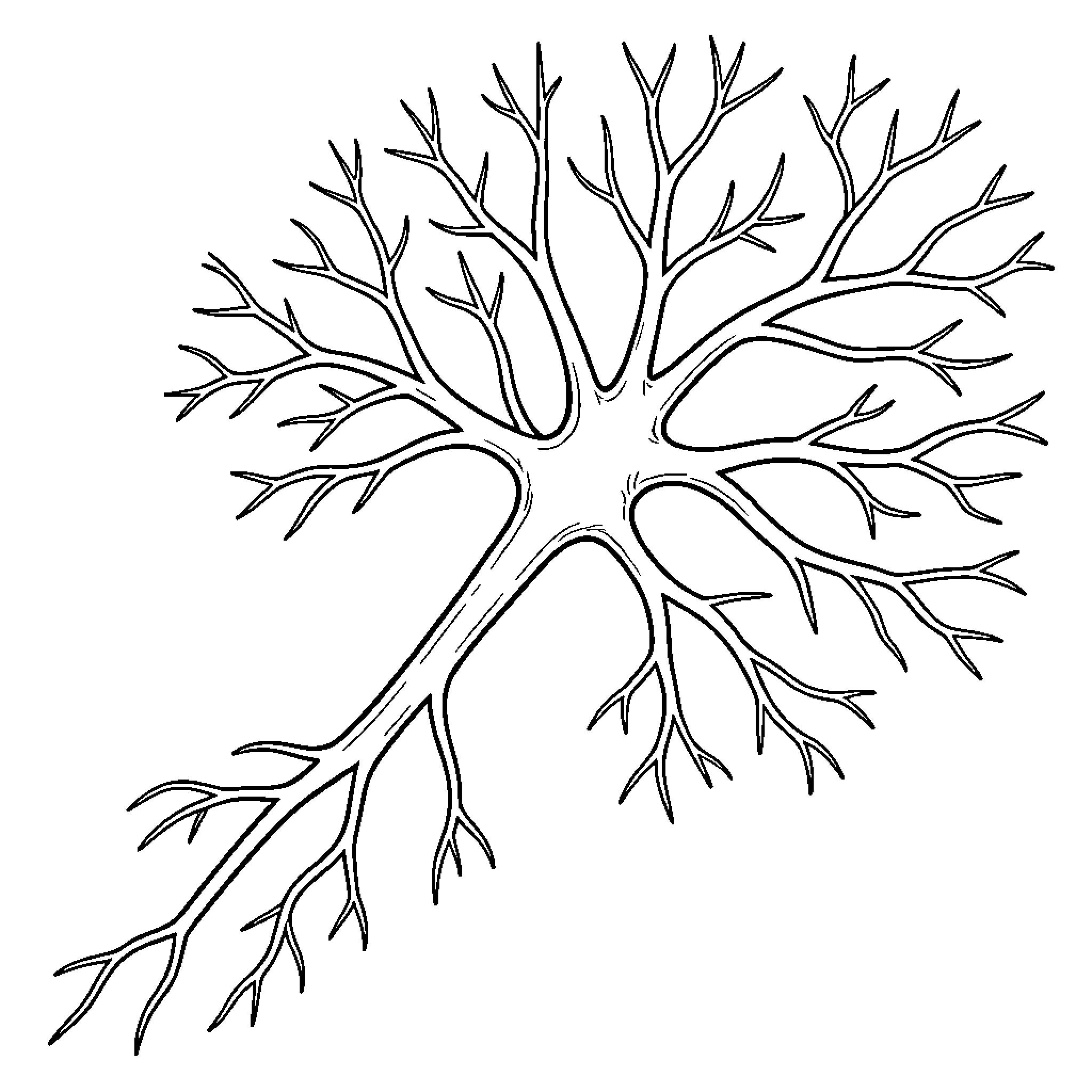 Neuron network structure with complex branches Coloring Page (free black-and-white line drawing printable PDF for all, from beginners to advanced learners, including children, teens, adults, and seniors)