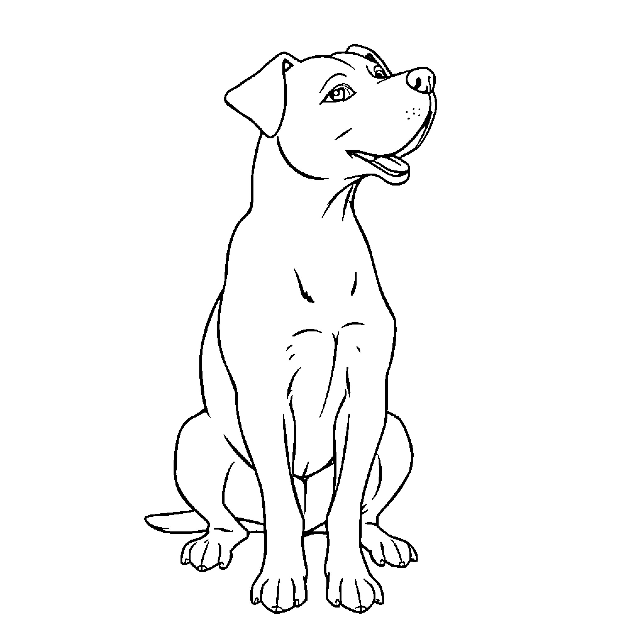 Dog sitting happily with a friendly expression Coloring Page (free black-and-white line drawing printable PDF for all, from beginners to advanced learners, including children, teens, adults, and seniors)