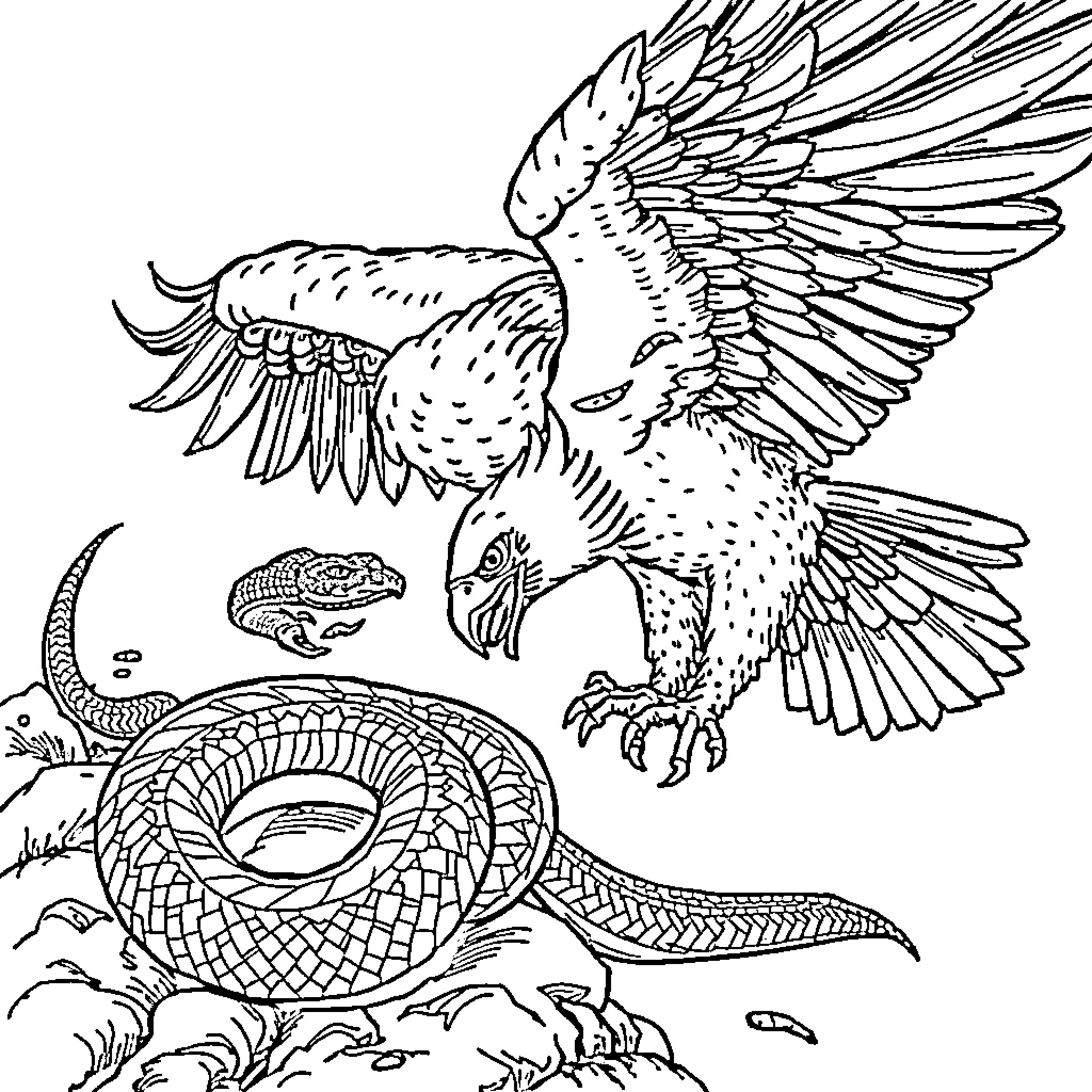 Snake attacking winged creature in nature Coloring Page (free black-and-white line drawing printable PDF for all, from beginners to advanced learners, including children, teens, adults, and seniors)