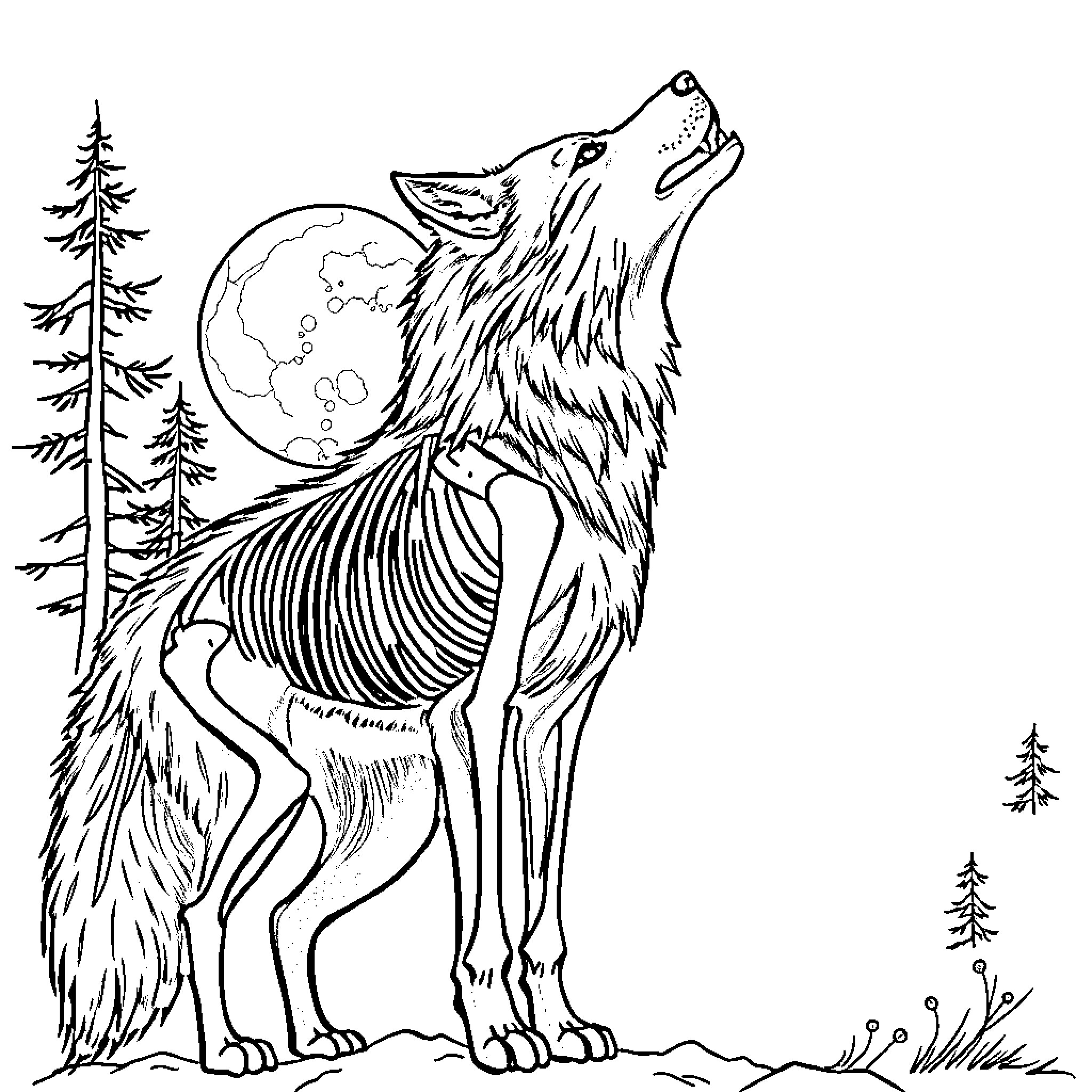 Wolf howling under the moonlight Coloring Page (free black-and-white line drawing printable PDF for all, from beginners to advanced learners, including children, teens, adults, and seniors)