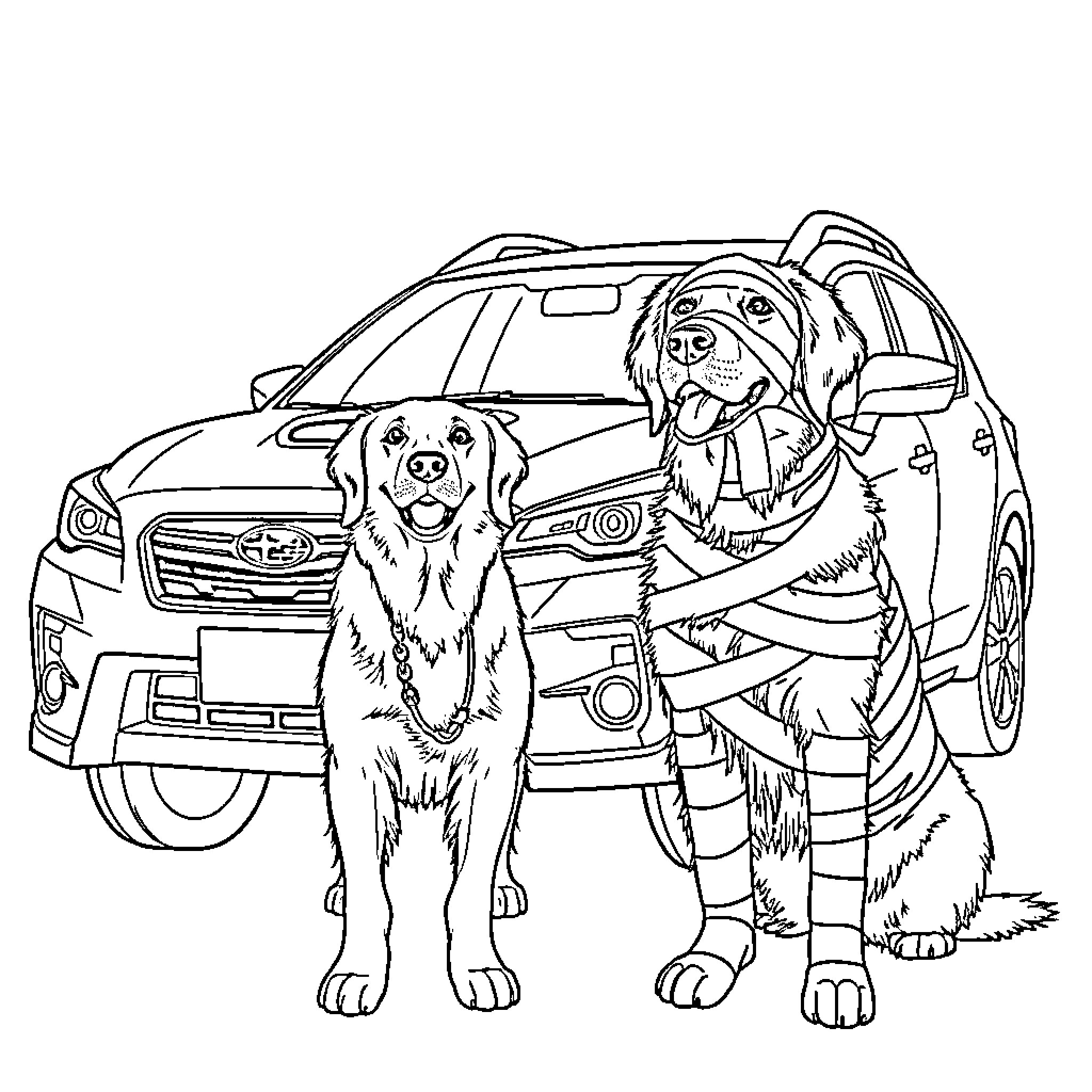 Golden Retriever dogs by a car Coloring Page (free black-and-white line drawing printable PDF for all, from beginners to advanced learners, including children, teens, adults, and seniors)