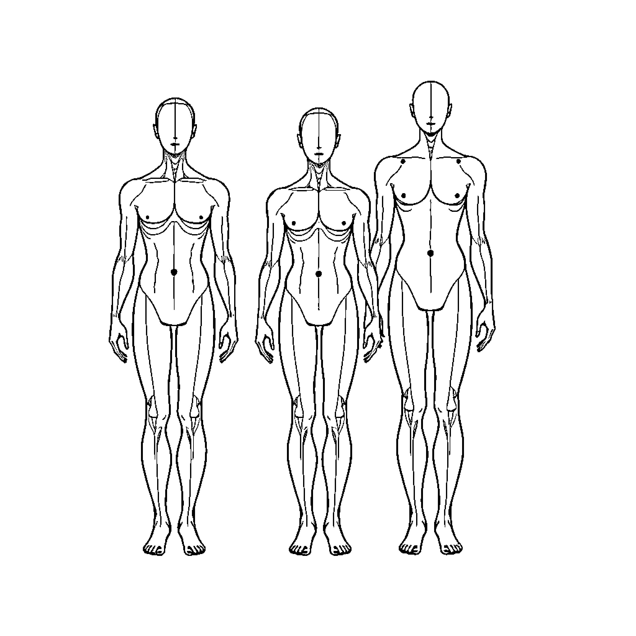 Body Planes of the Human Form Coloring Page (free black-and-white line drawing printable PDF for all, from beginners to advanced learners, including children, teens, adults, and seniors)