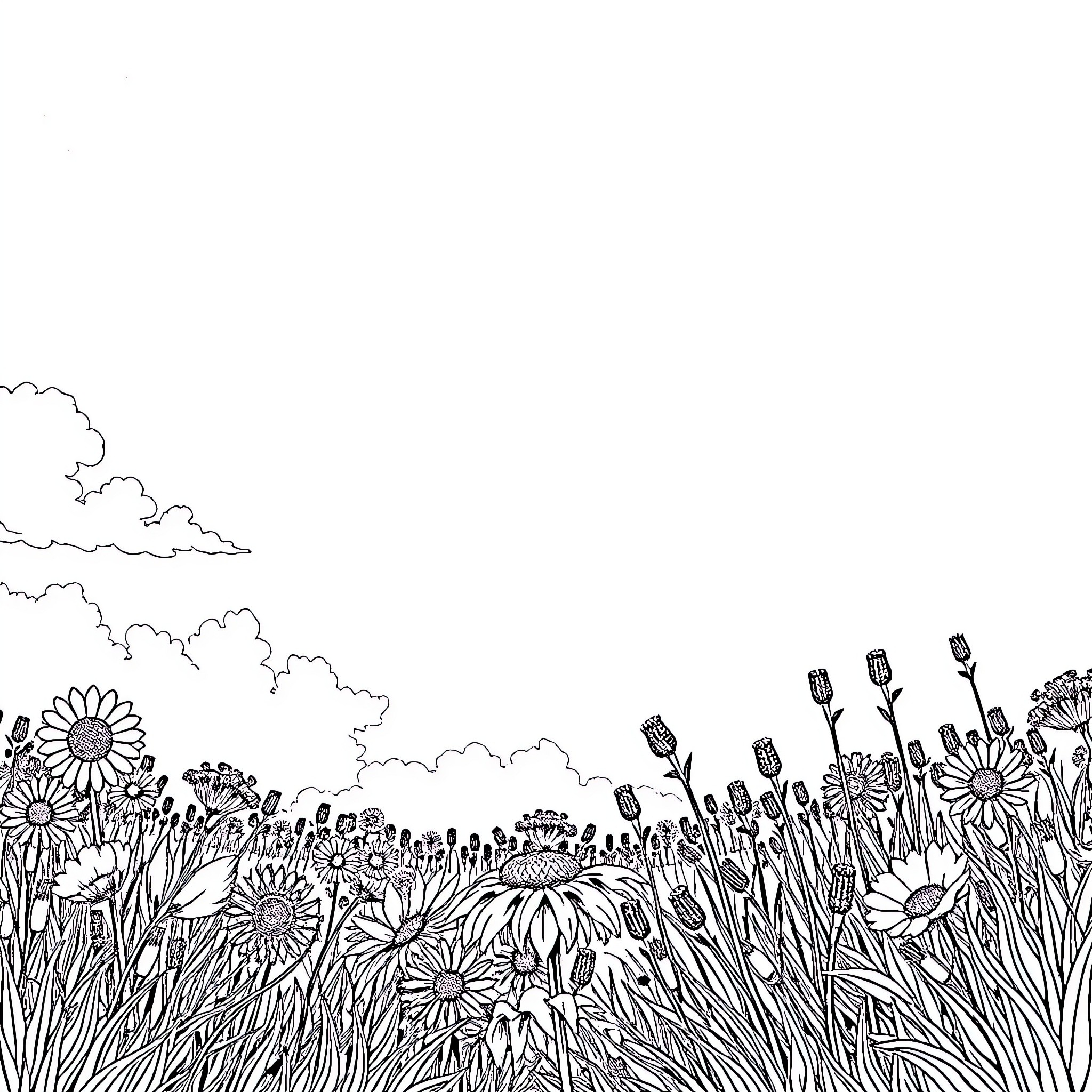Summer Field of Wildflowers and Clouds Coloring Page (free black-and-white line drawing printable PDF for all, from beginners to advanced learners, including children, teens, adults, and seniors)
