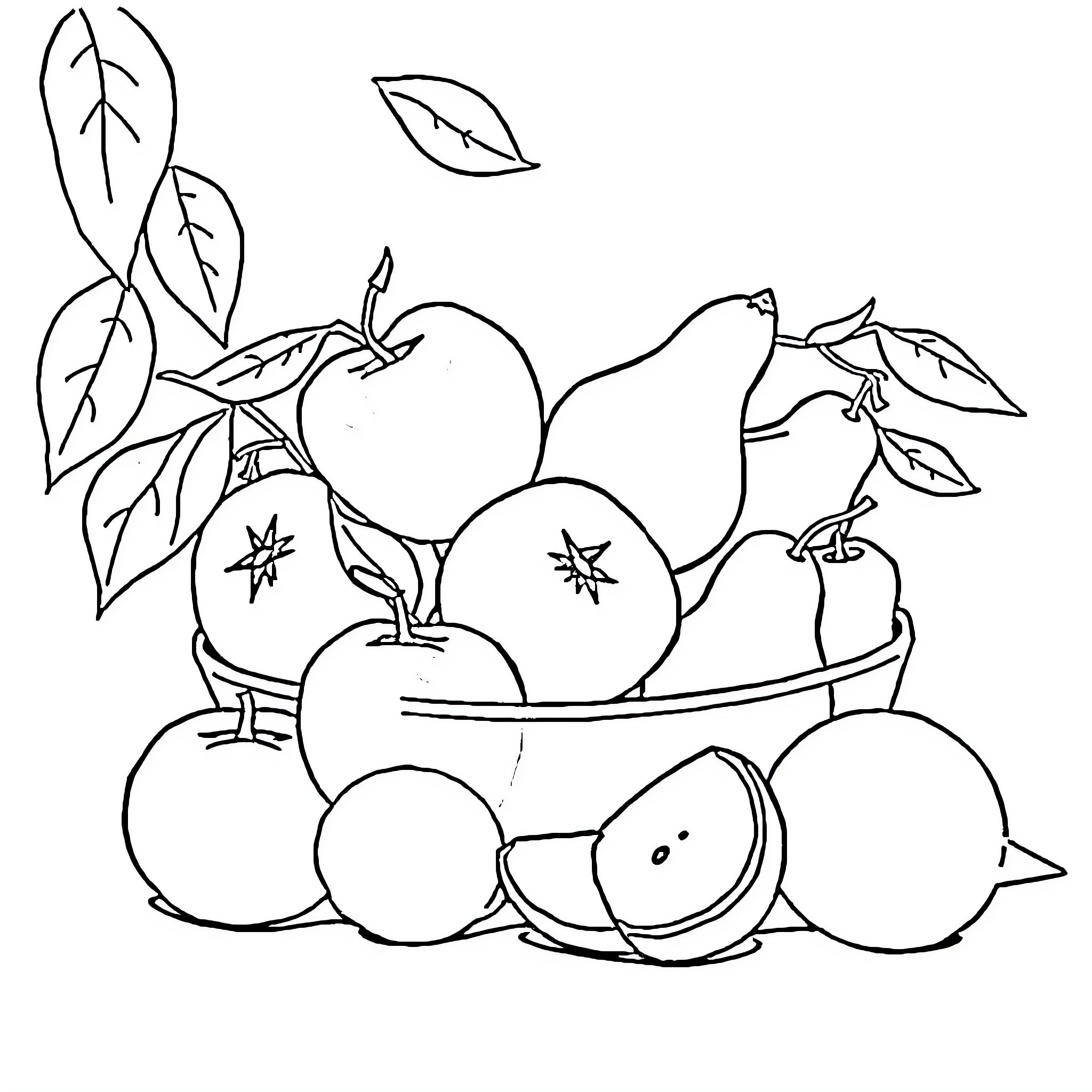 Fruit arrangement with assorted produce Coloring Page (free black-and-white line drawing printable PDF for all, from beginners to advanced learners, including children, teens, adults, and seniors)
