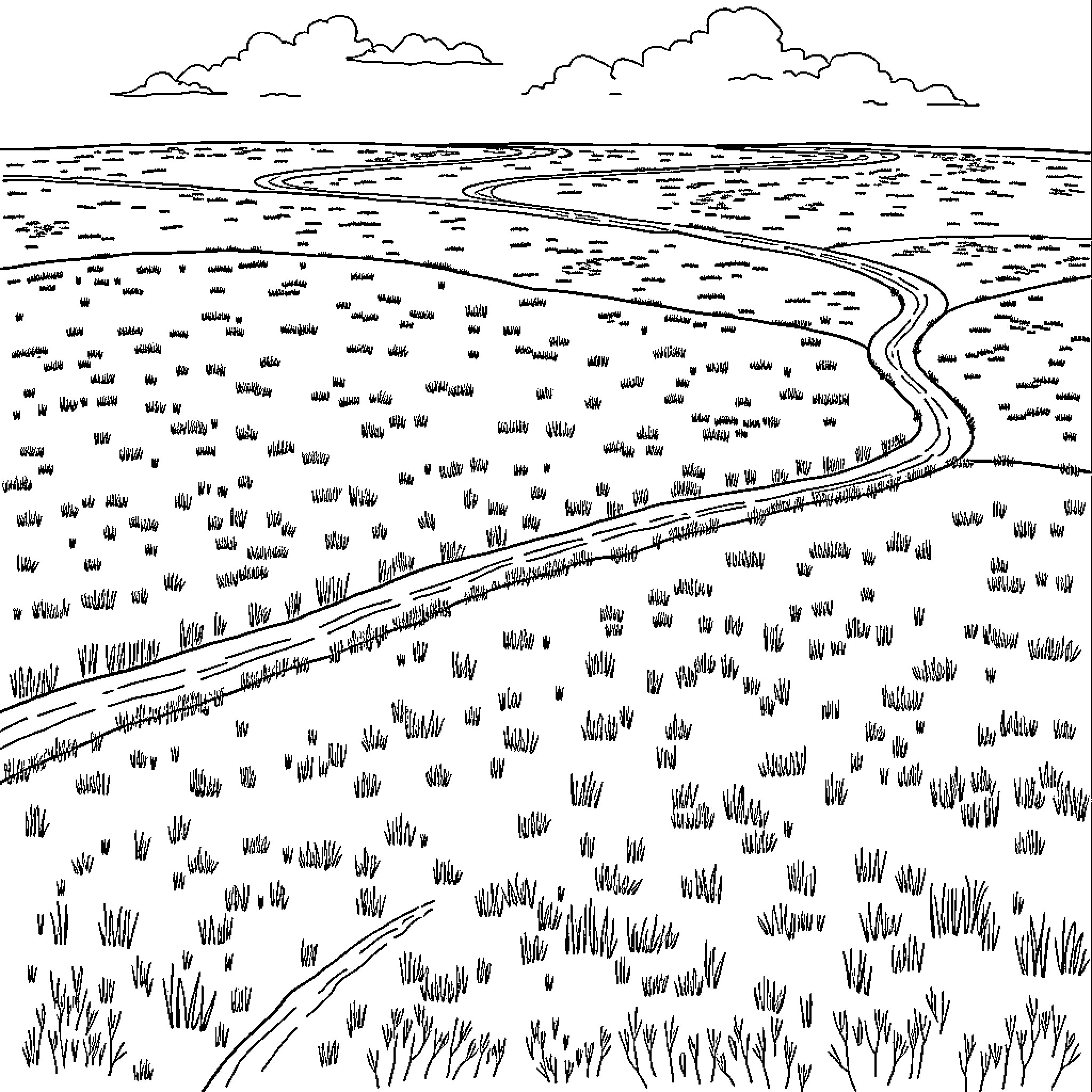 Field of Winding Pathways Through Vast Landscape Coloring Page (free black-and-white line drawing printable PDF for all, from beginners to advanced learners, including children, teens, adults, and seniors)