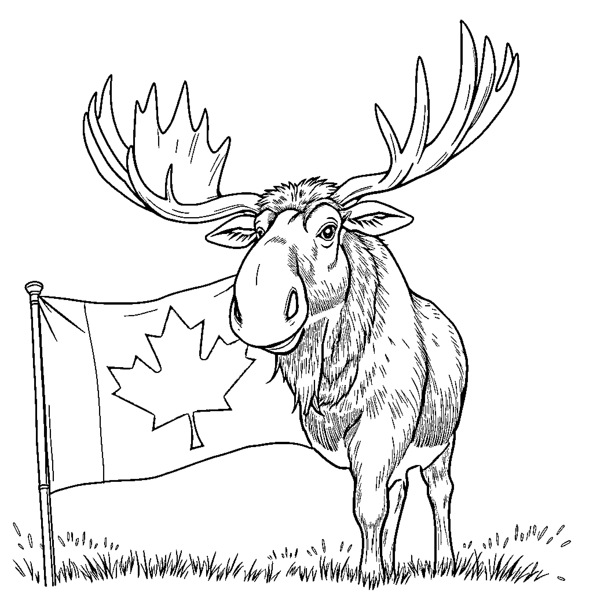 Moose proudly displaying Canadian flag Coloring Page (free black-and-white line drawing printable PDF for all, from beginners to advanced learners, including children, teens, adults, and seniors)