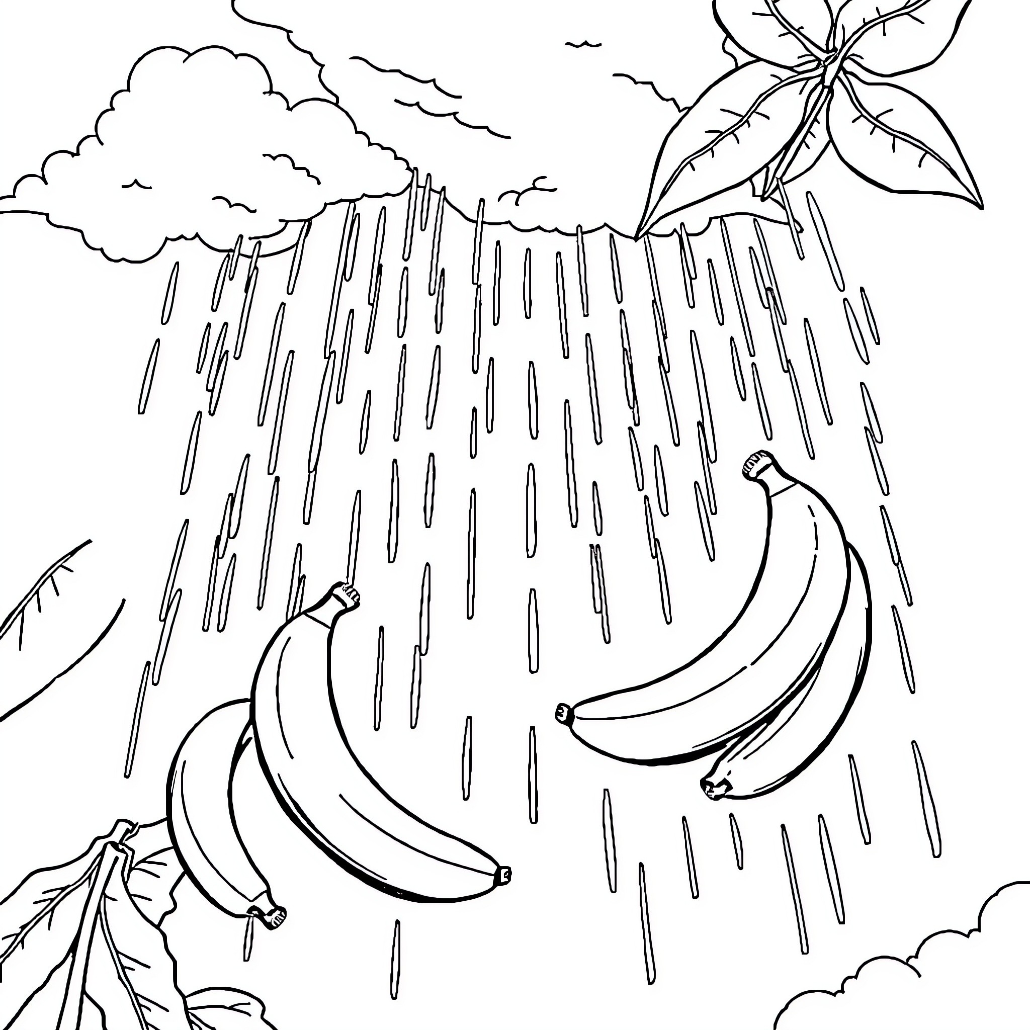 Banana Bunch Enduring Tropical Downpour Coloring Page (free black-and-white line drawing printable PDF for all, from beginners to advanced learners, including children, teens, adults, and seniors)