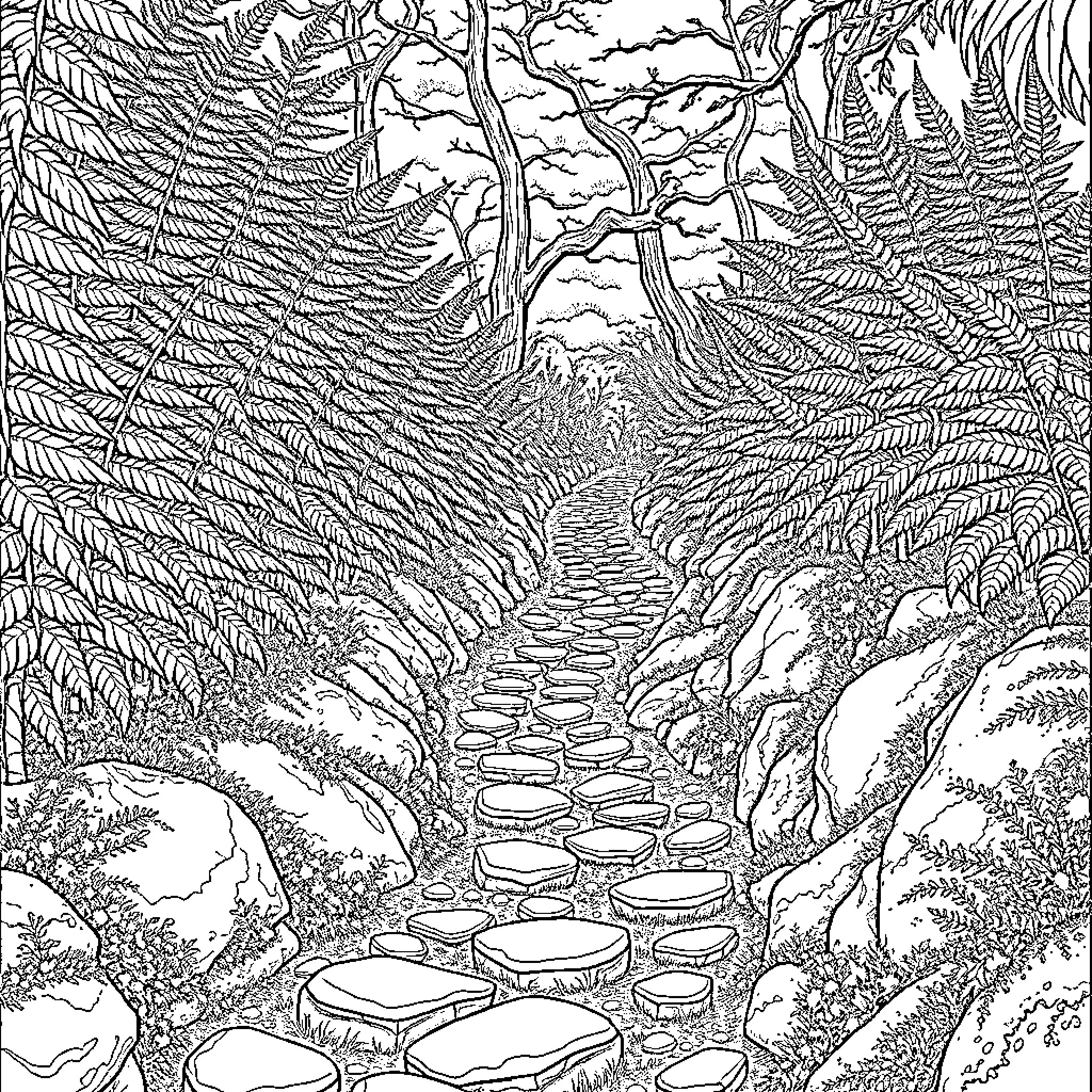 Path through the enchanted forest Coloring Page (free black-and-white line drawing printable PDF for all, from beginners to advanced learners, including children, teens, adults, and seniors)