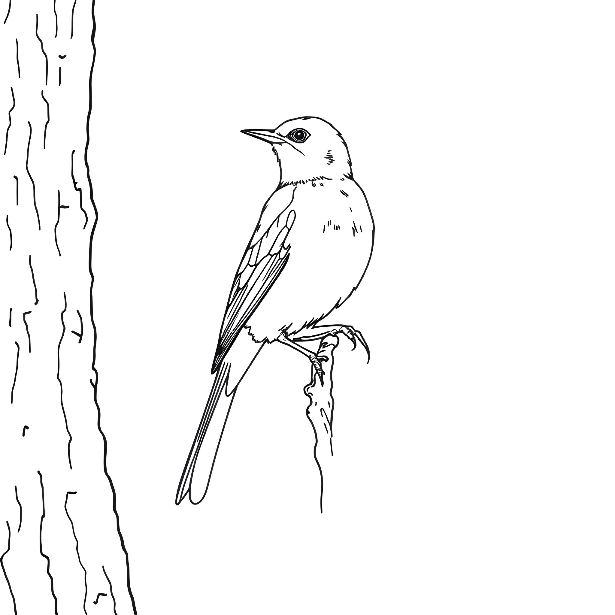 Tanager perched on a tree branch Coloring Page (free black-and-white line drawing printable PDF for all, from beginners to advanced learners, including children, teens, adults, and seniors)