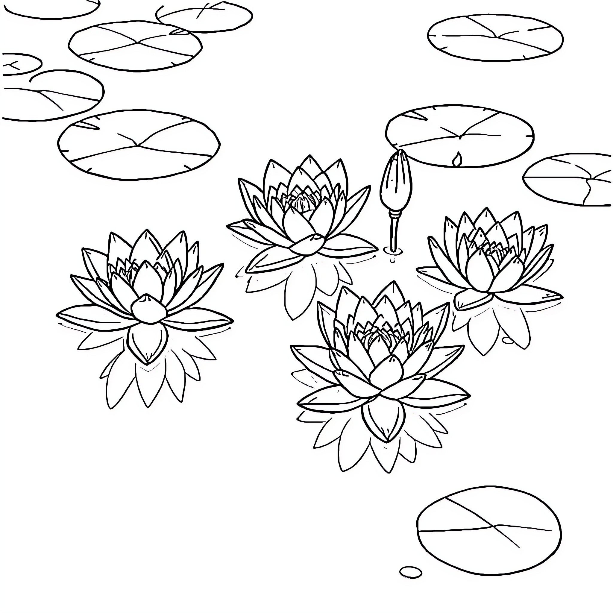 Lily Pond with Floating Lotus Flowers Coloring Page (free black-and-white line drawing printable PDF for all, from beginners to advanced learners, including children, teens, adults, and seniors)