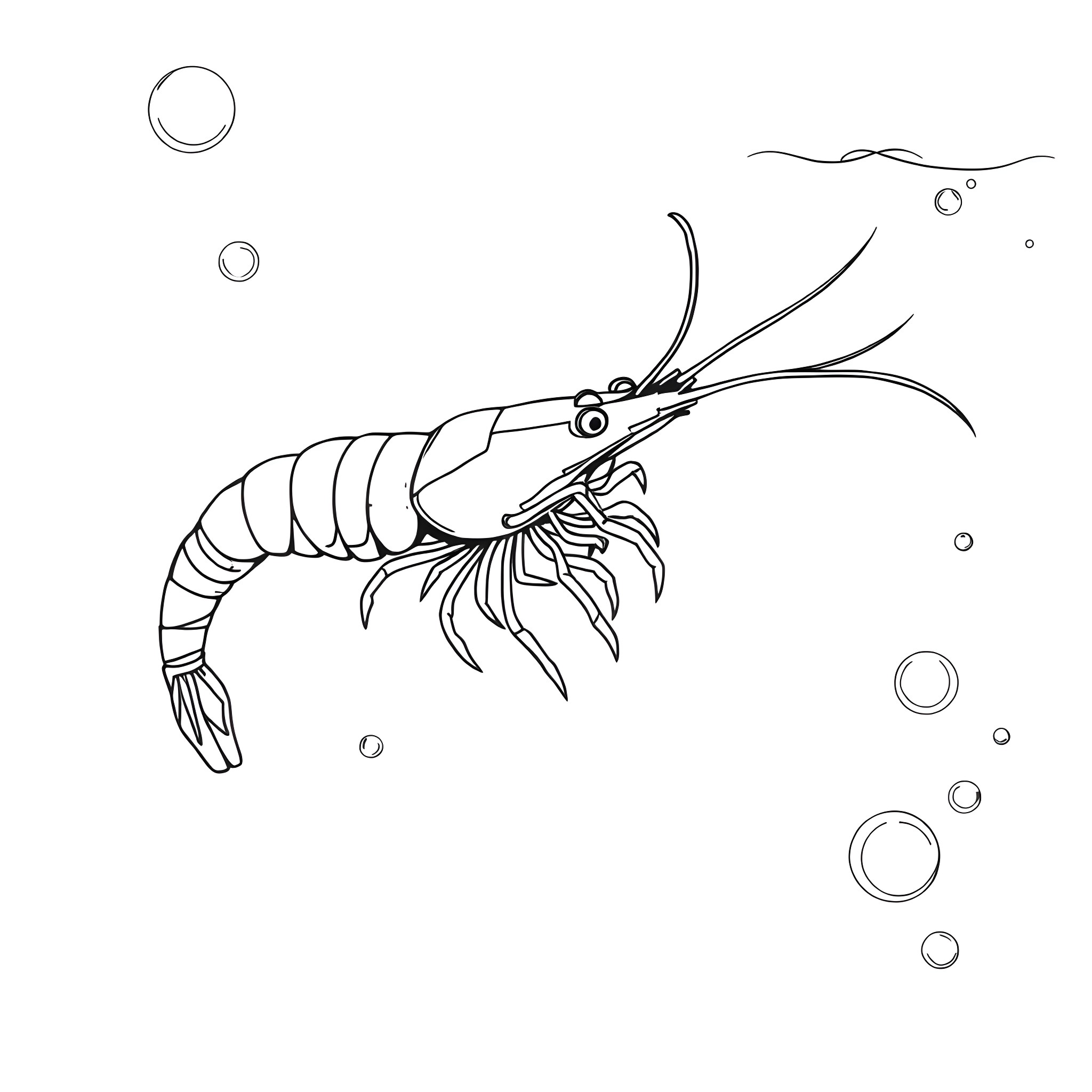 Shrimp swimming in the ocean Coloring Page (free black-and-white line drawing printable PDF for all, from beginners to advanced learners, including children, teens, adults, and seniors)