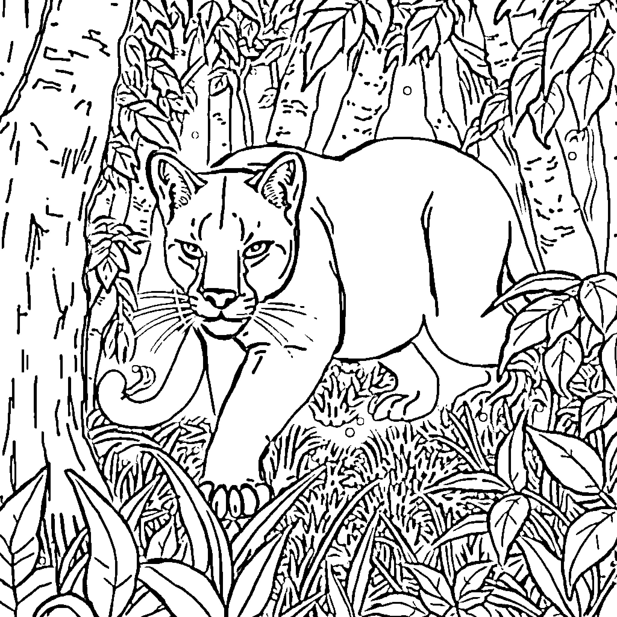 Cougar prowling through the dense foliage Coloring Page (free black-and-white line drawing printable PDF for all, from beginners to advanced learners, including children, teens, adults, and seniors)