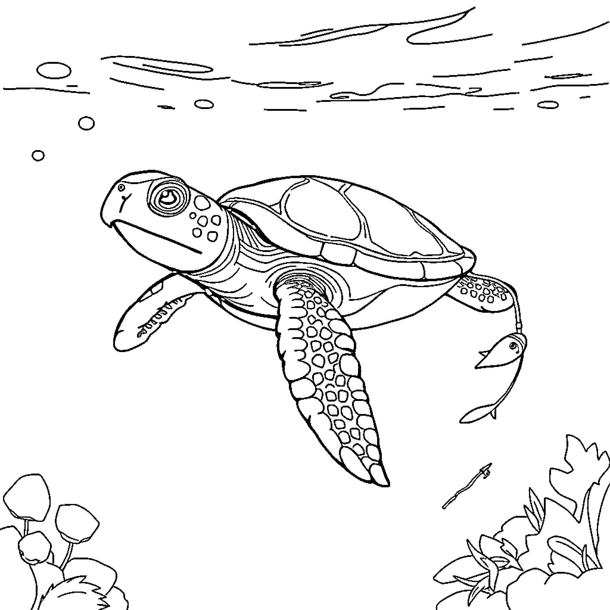 Turtle exploring the underwater world Coloring Page (free black-and-white line drawing printable PDF for all, from beginners to advanced learners, including children, teens, adults, and seniors)