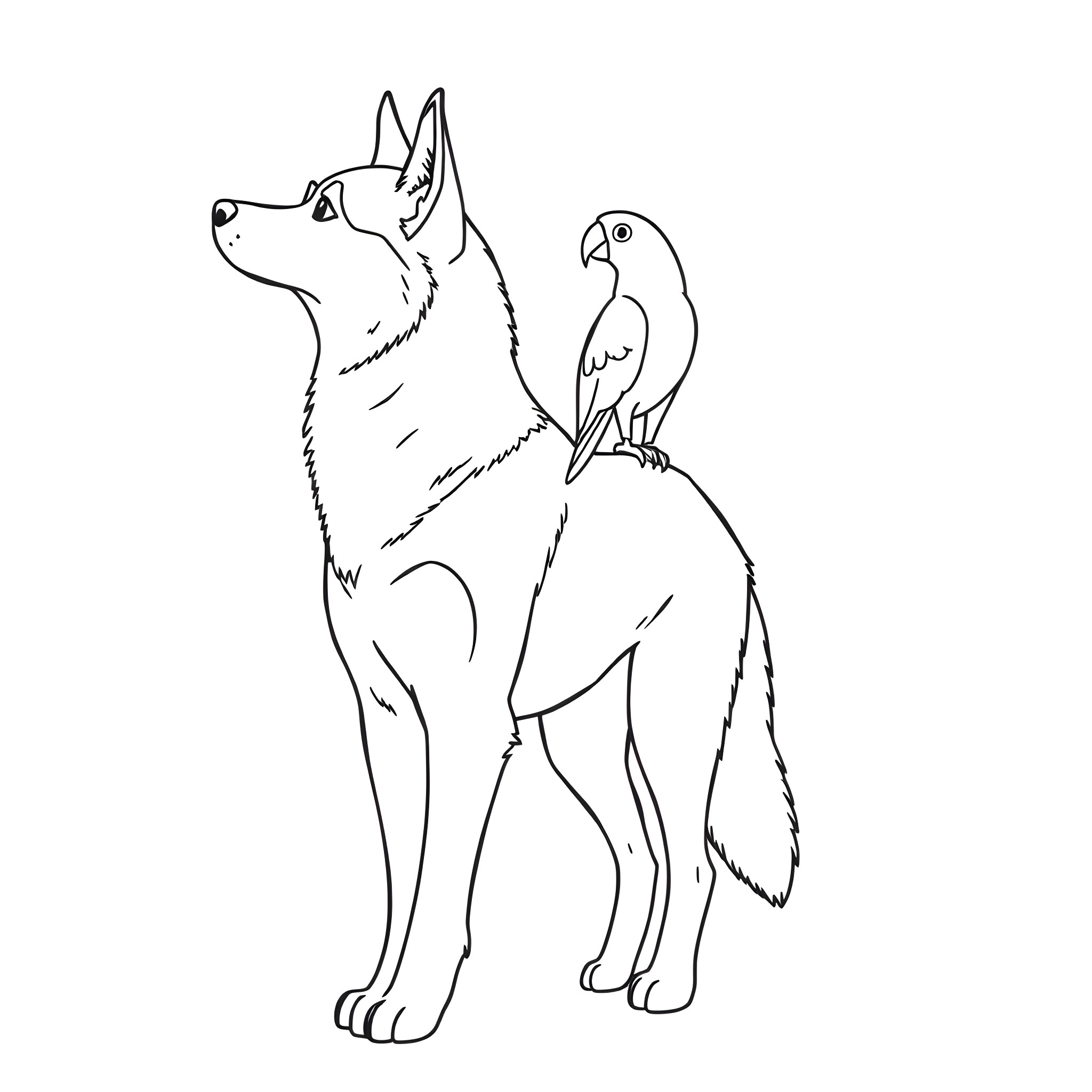Husky with a parrot companion Coloring Page (free black-and-white line drawing printable PDF for all, from beginners to advanced learners, including children, teens, adults, and seniors)