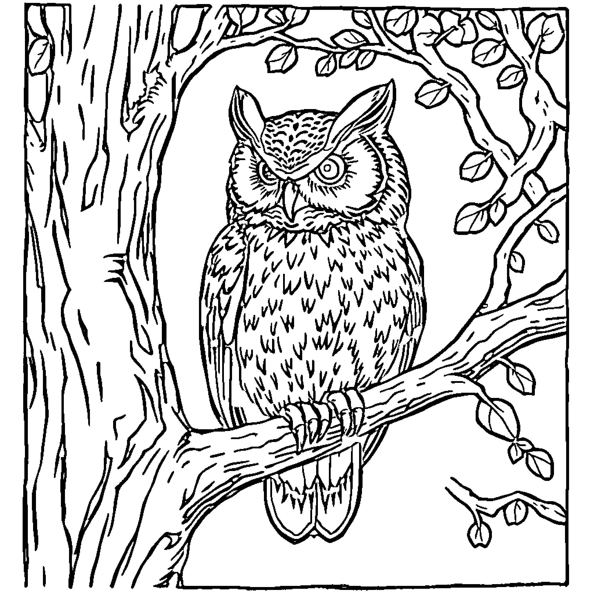 Owl perched in a tree branch surrounded by leaves Coloring Page (free black-and-white line drawing printable PDF for all, from beginners to advanced learners, including children, teens, adults, and seniors)