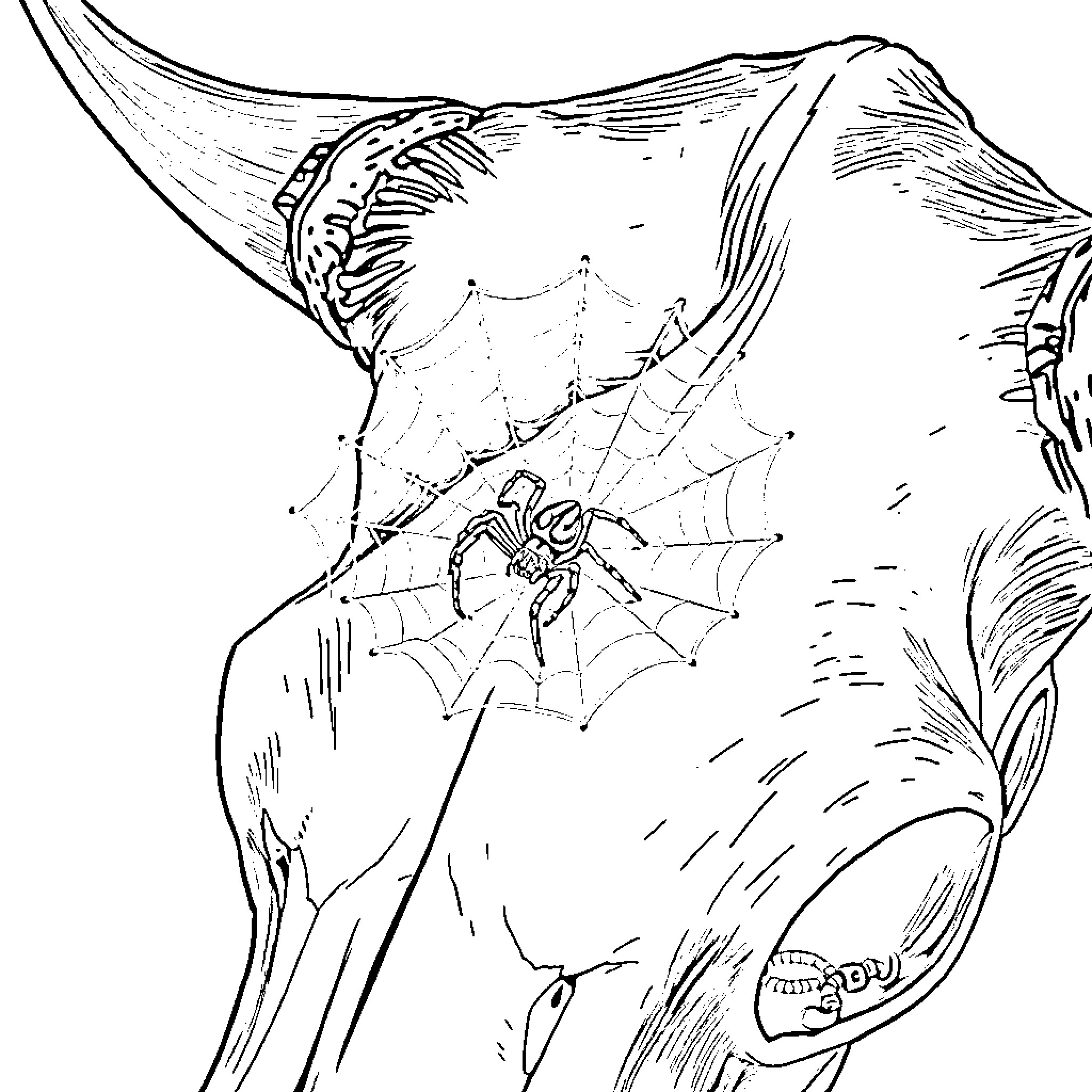 Spider spinning a web in the wilderness Coloring Page (free black-and-white line drawing printable PDF for all, from beginners to advanced learners, including children, teens, adults, and seniors)