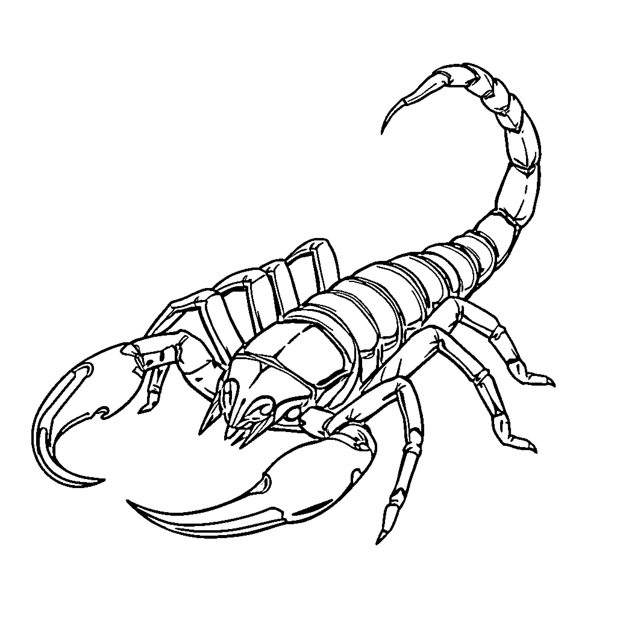 Scorpion displaying its threatening posture Coloring Page (free black-and-white line drawing printable PDF for all, from beginners to advanced learners, including children, teens, adults, and seniors)