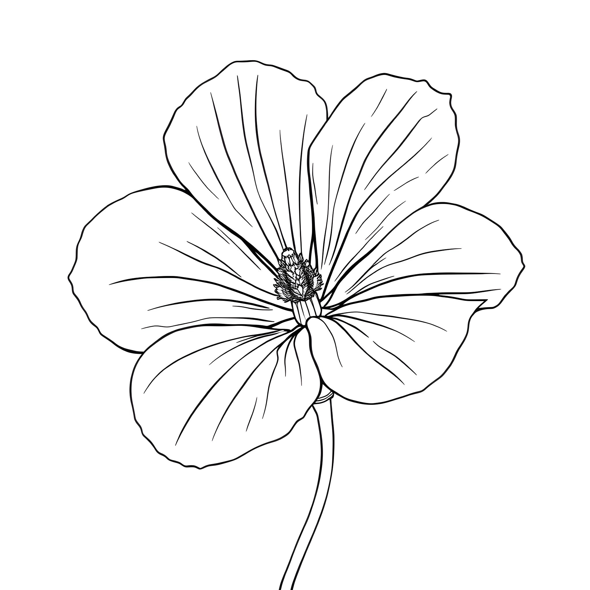 Ipomoea Purpurea flower with detailed petals Coloring Page (free black-and-white line drawing printable PDF for all, from beginners to advanced learners, including children, teens, adults, and seniors)
